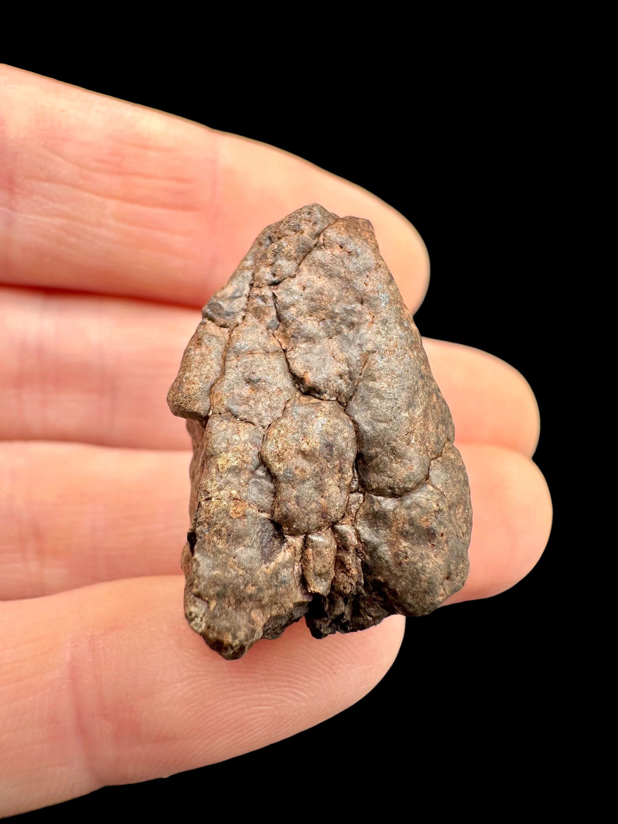 Meteorite NWA X – 14,4g – Northwest Africa