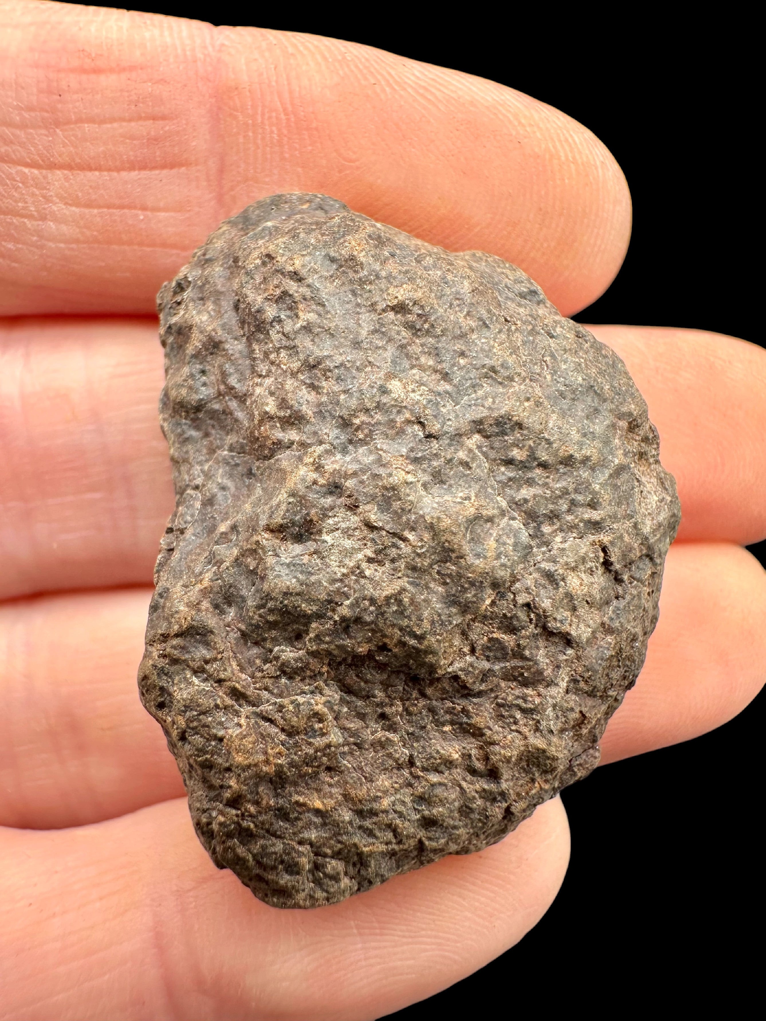 Meteorite NWA X – 15,5g – Northwest Africa - MENX81