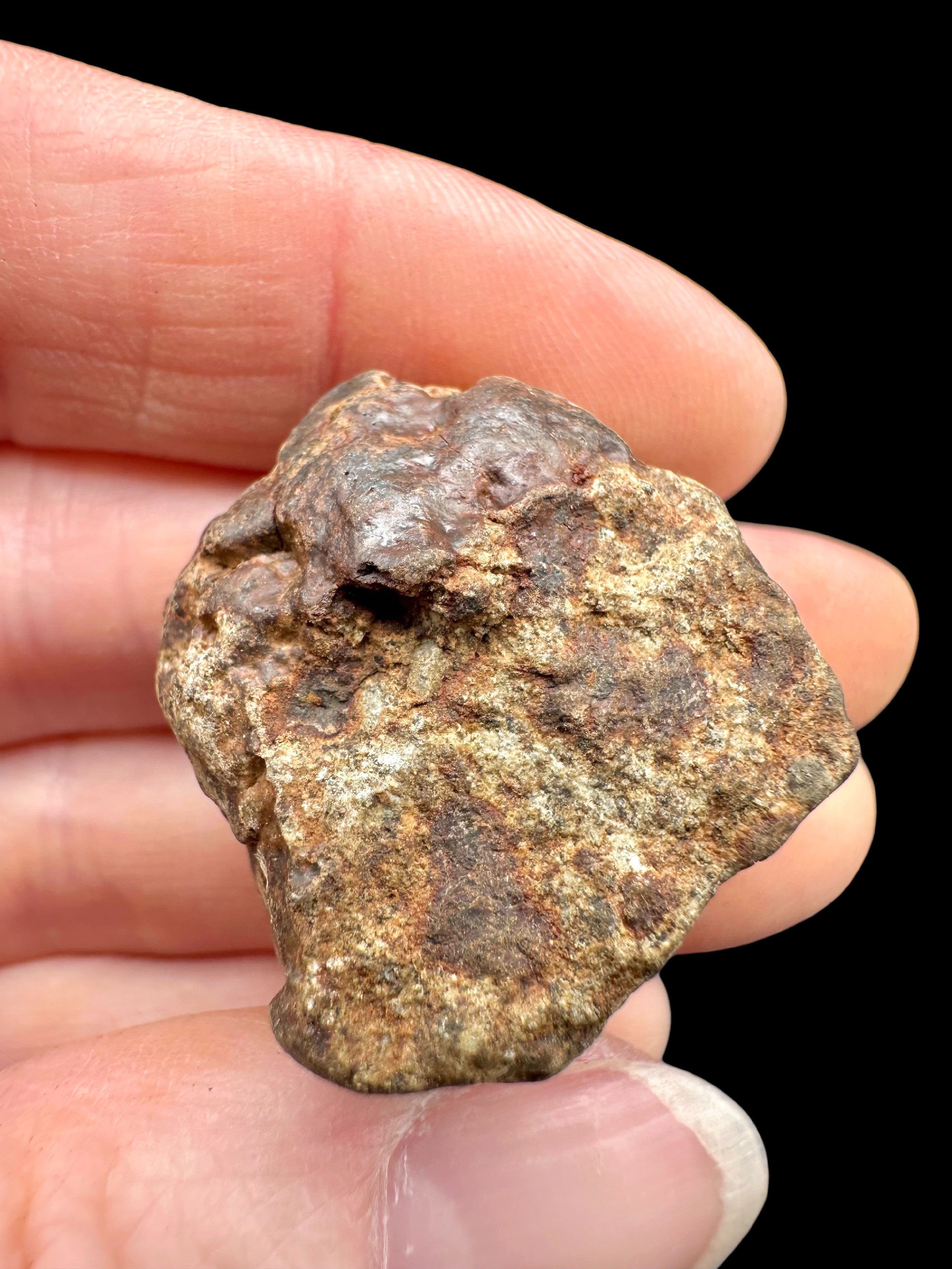 Meteorite NWA X – 20,1g – Northwest Africa - MENX84