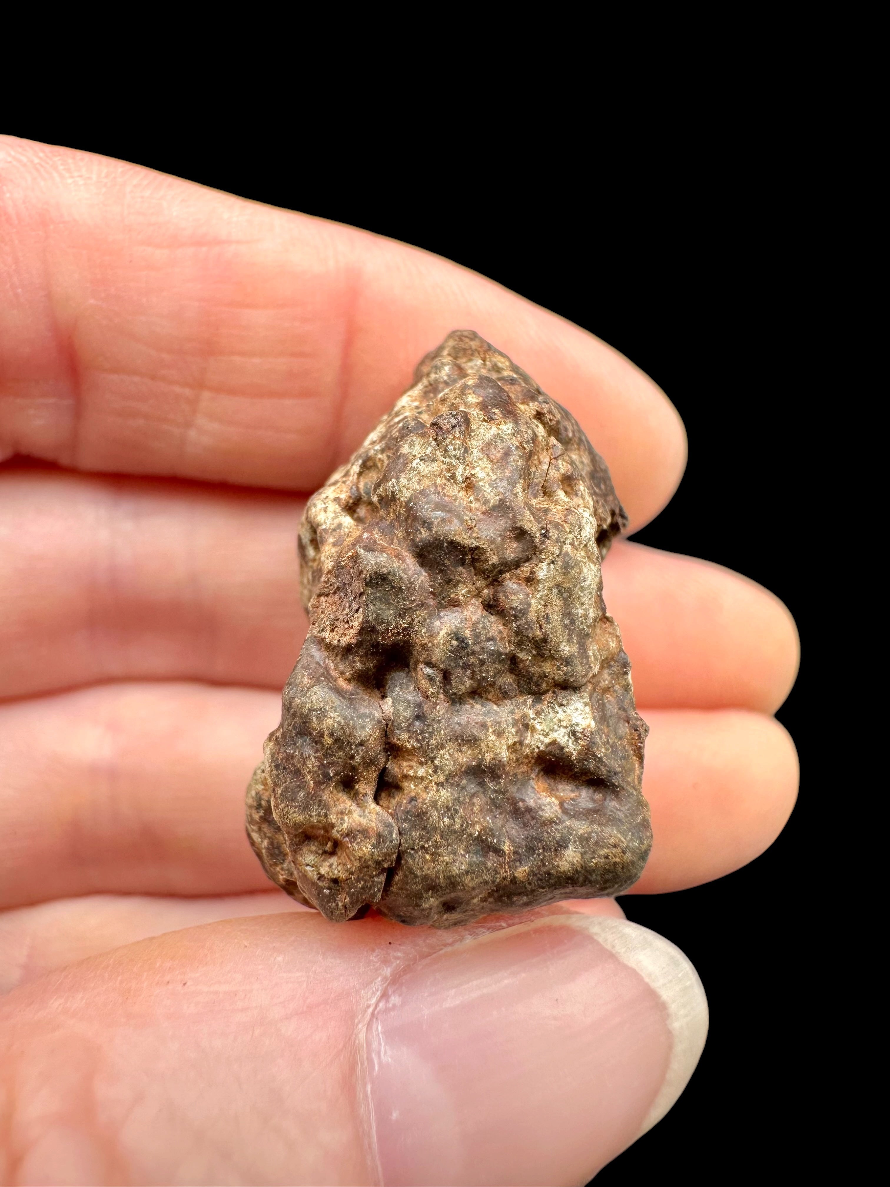 Meteorite NWA X – 20,1g – Northwest Africa - MENX84