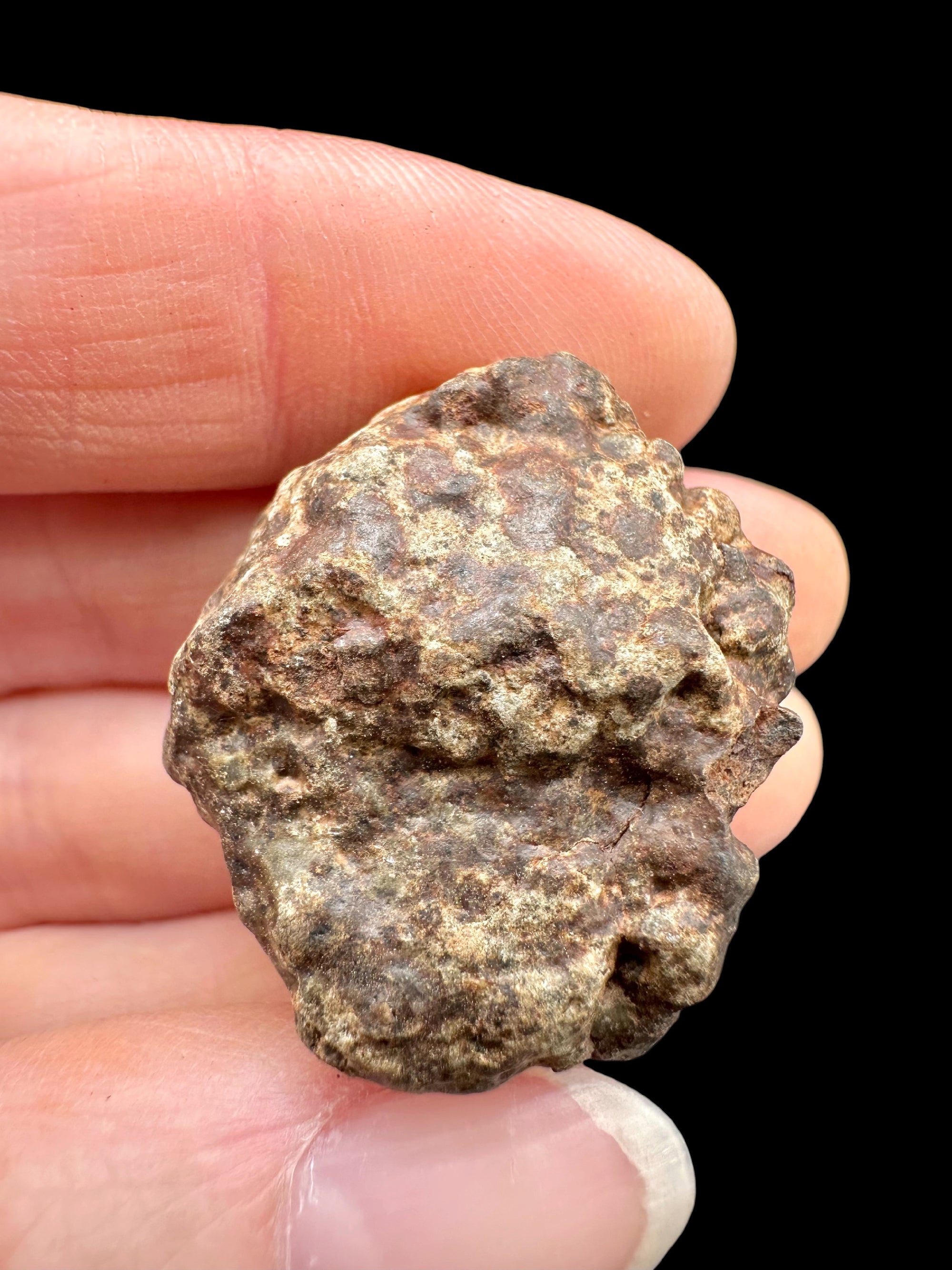 Meteorite NWA X – 20,1g – Northwest Africa