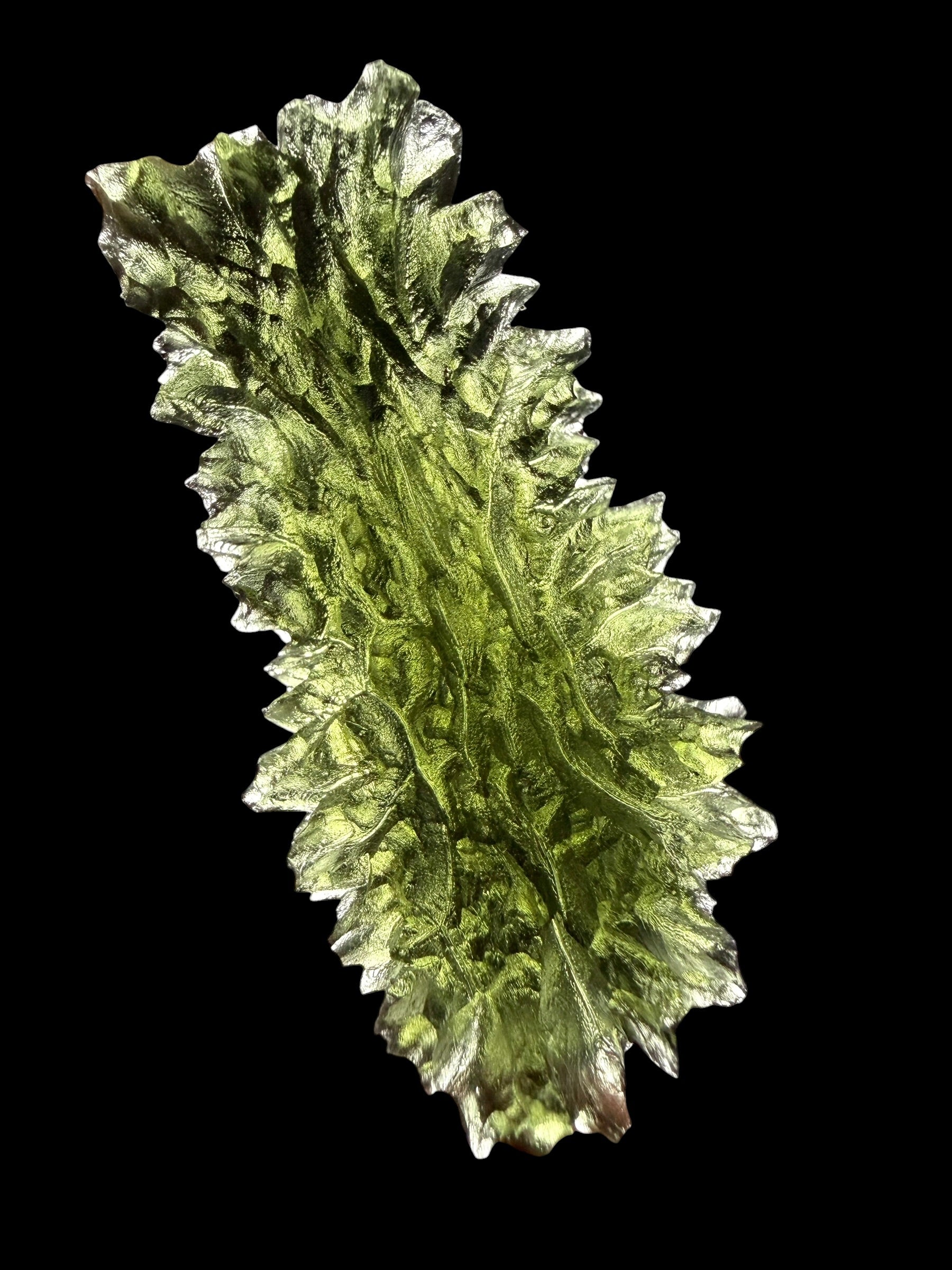 Moldavite – Besednice Jezkovna – 13,1g - BJ348