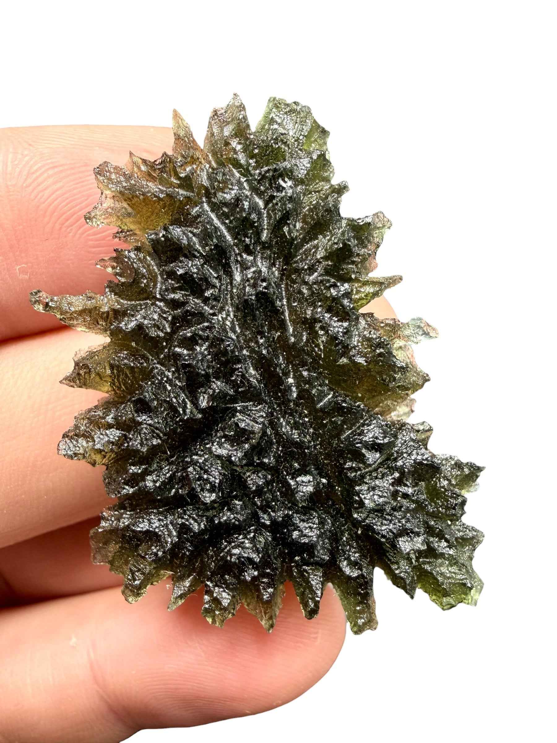 Moldavite – Besednice Jezkovna – 12,9g - BJ349