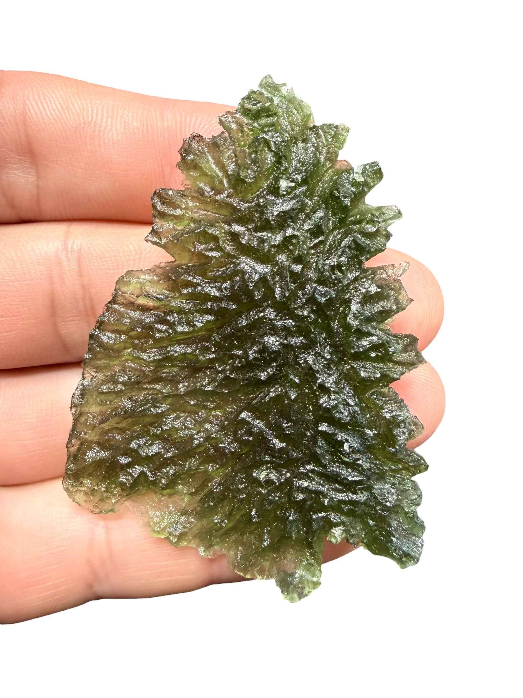Moldavite – Besednice Jezkovna – 17,5g - BJ365