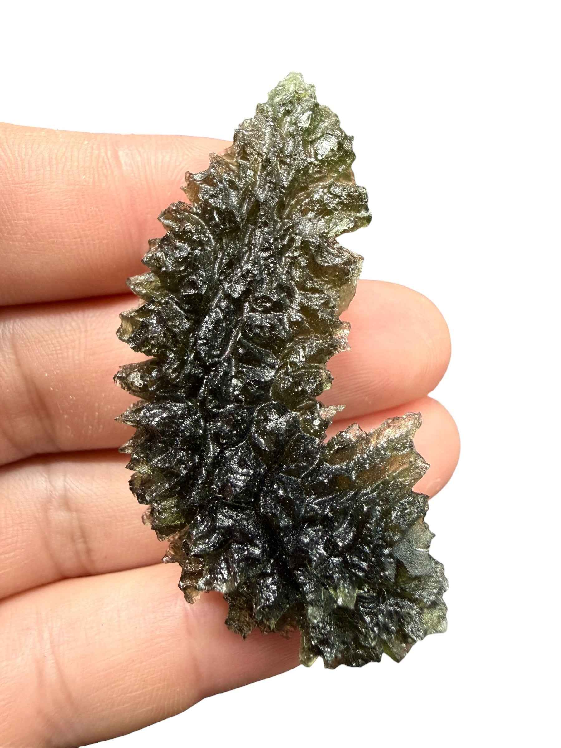 Moldavite – Besednice Jezkovna – 18,6g - BJ366