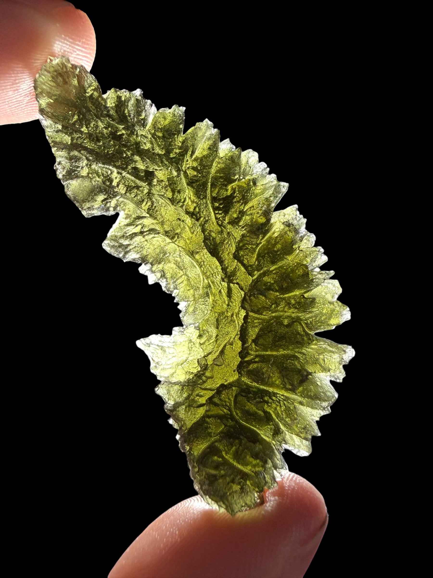 Moldavite – Besednice Jezkovna – 18,6g - BJ366