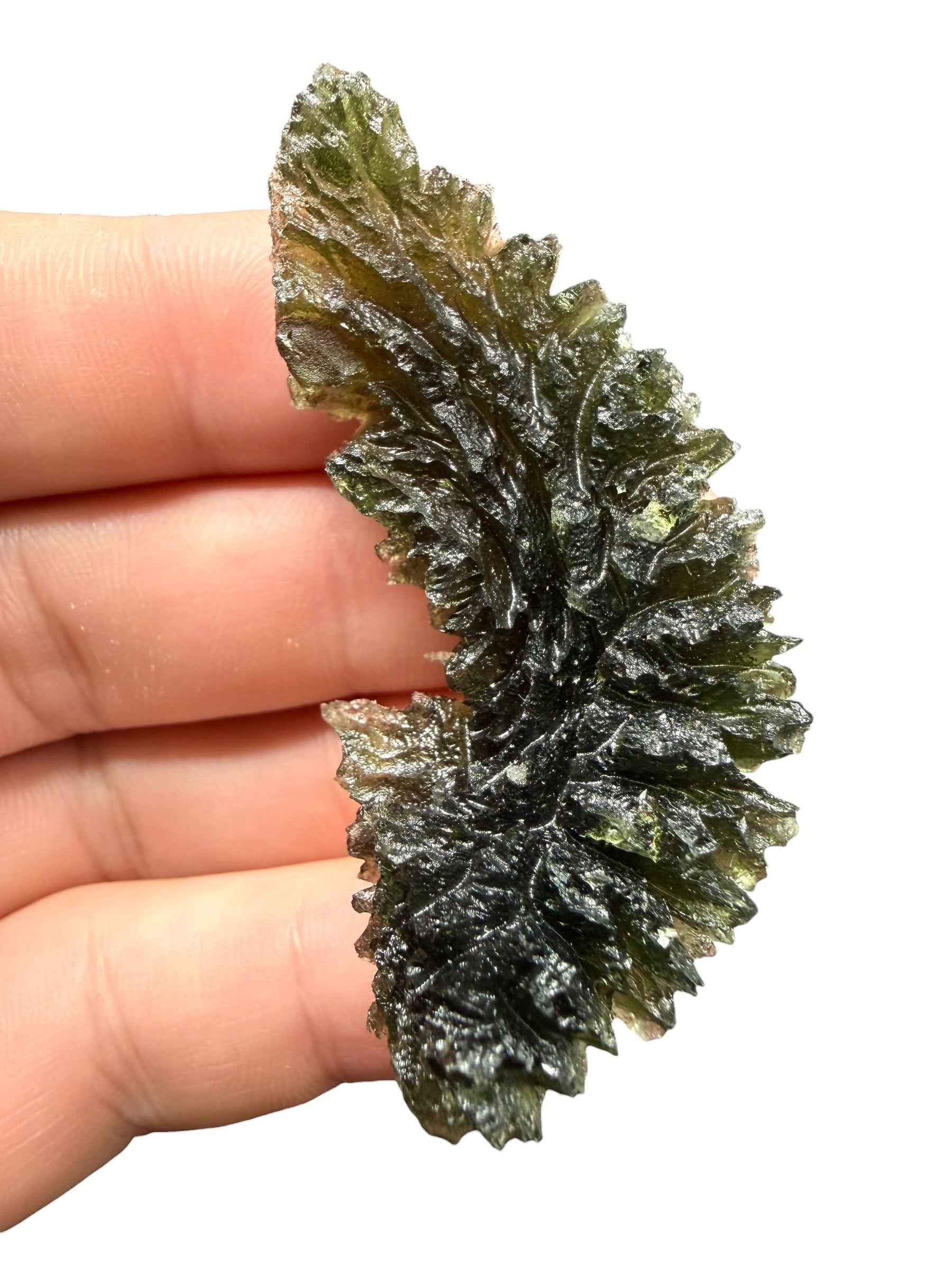 Moldavite – Besednice Jezkovna – 18,6g - BJ366
