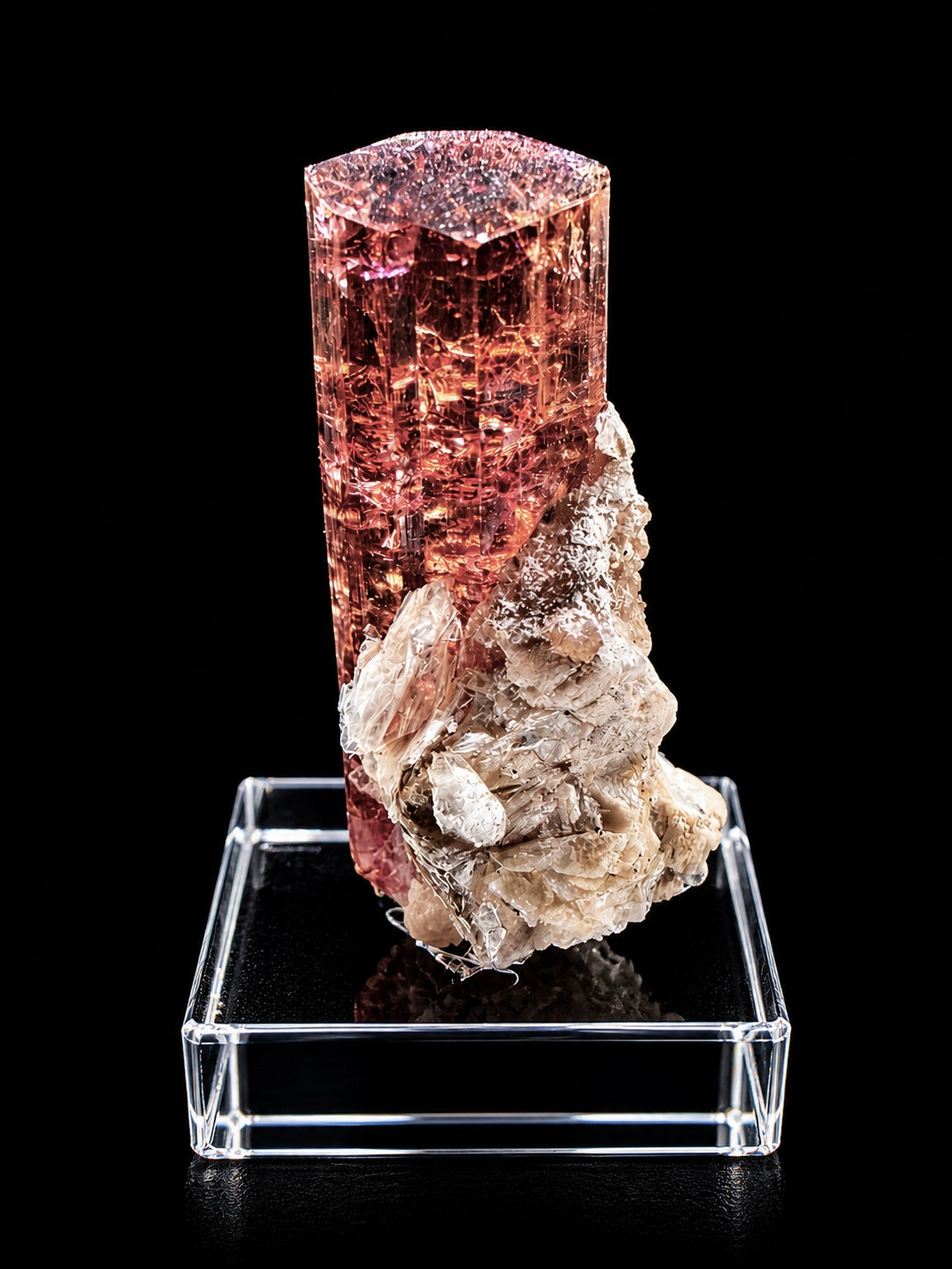 Rubellite – Befisiotra mine, Madagascar