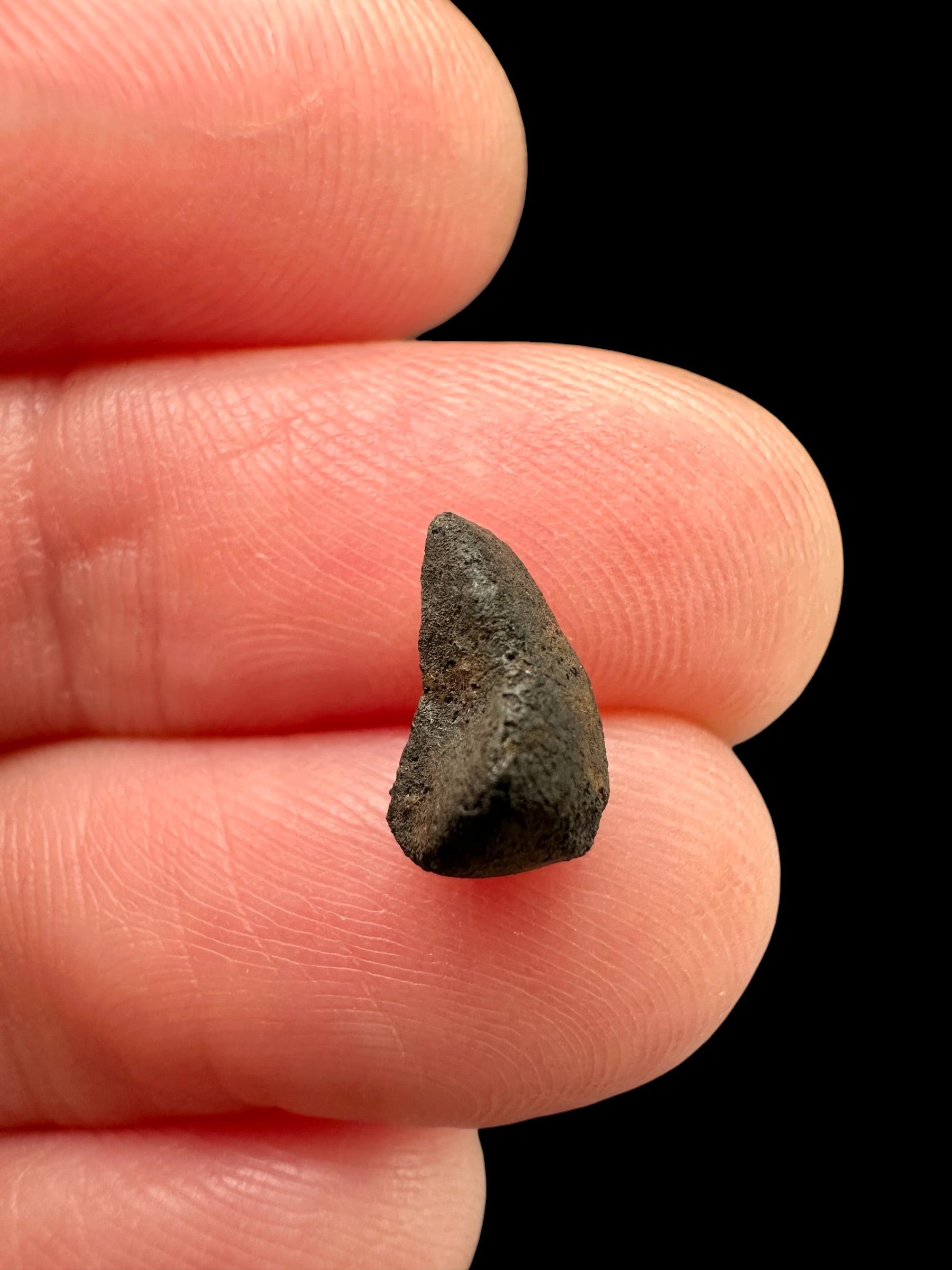 Meteorite Chelyabinsk 0,3g – Russia - MECE25