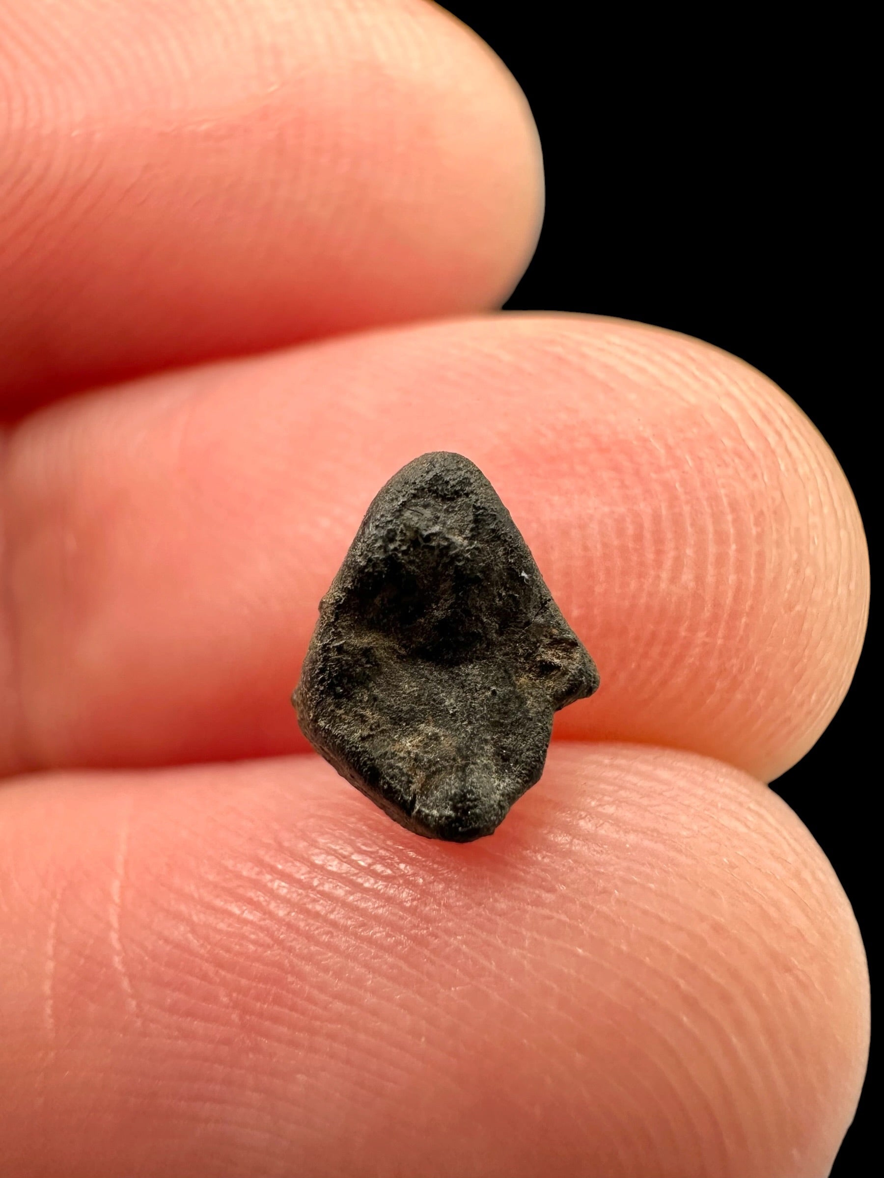 Meteorite Chelyabinsk 0,2g – Russia - MECE28