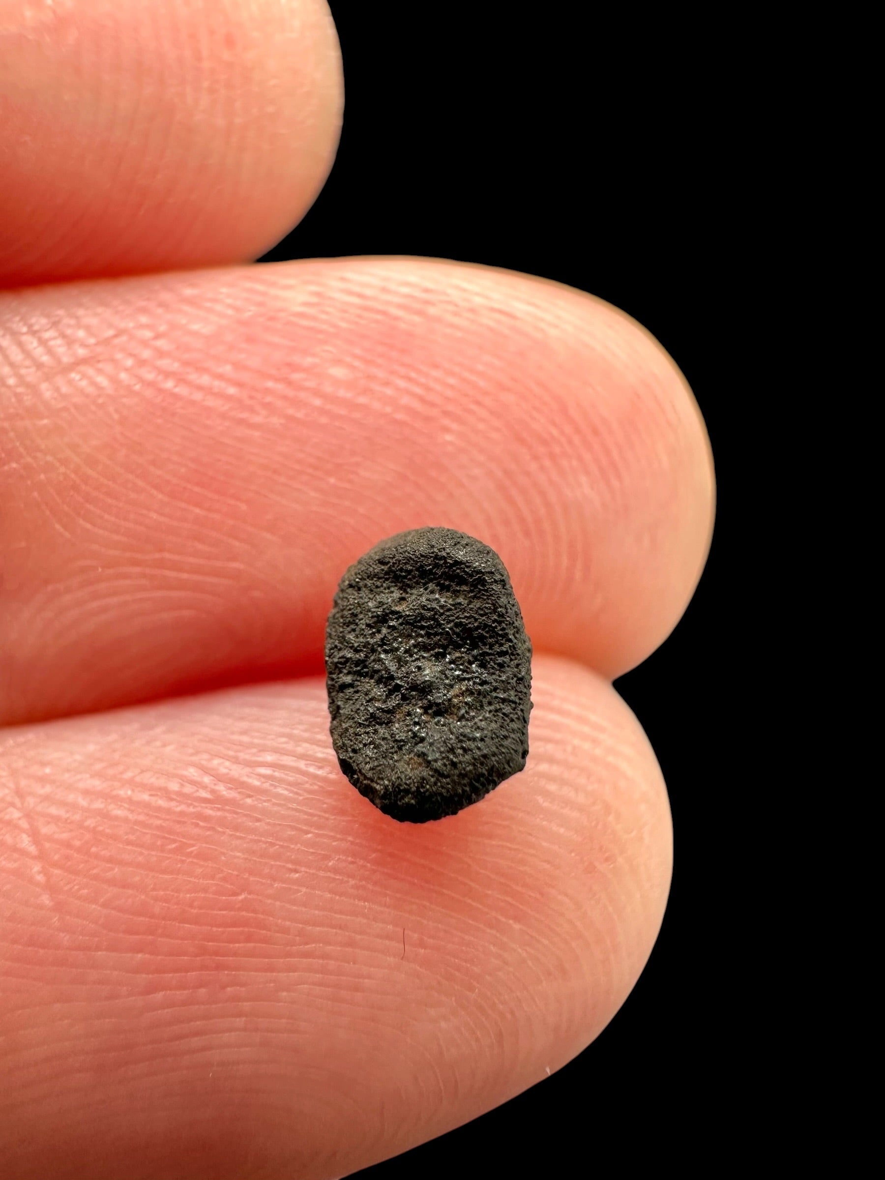 Meteorite Chelyabinsk 0,1g – Russia - MECE33