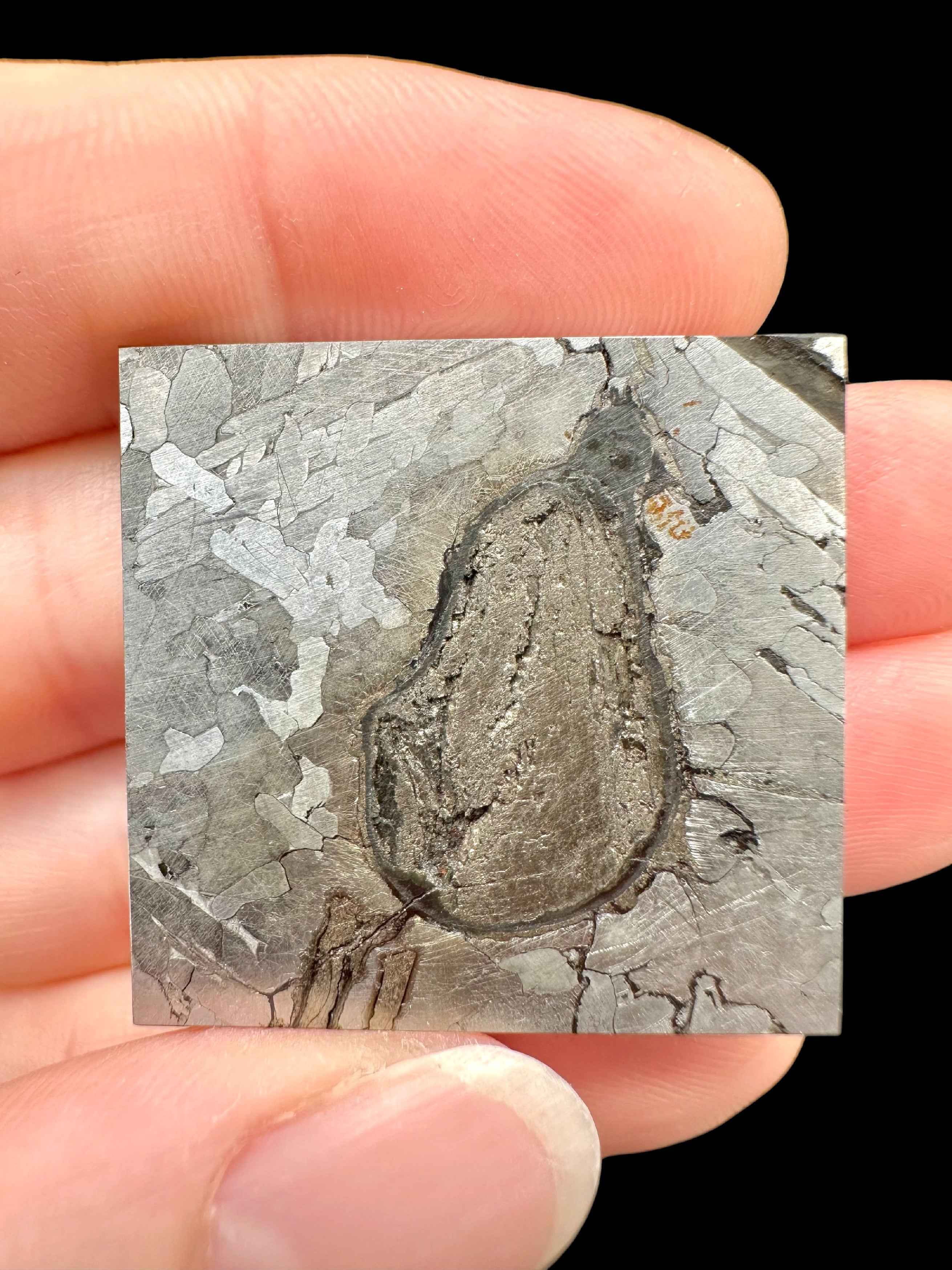 Meteorite Hickman 12,6g – Australia - MEHI01