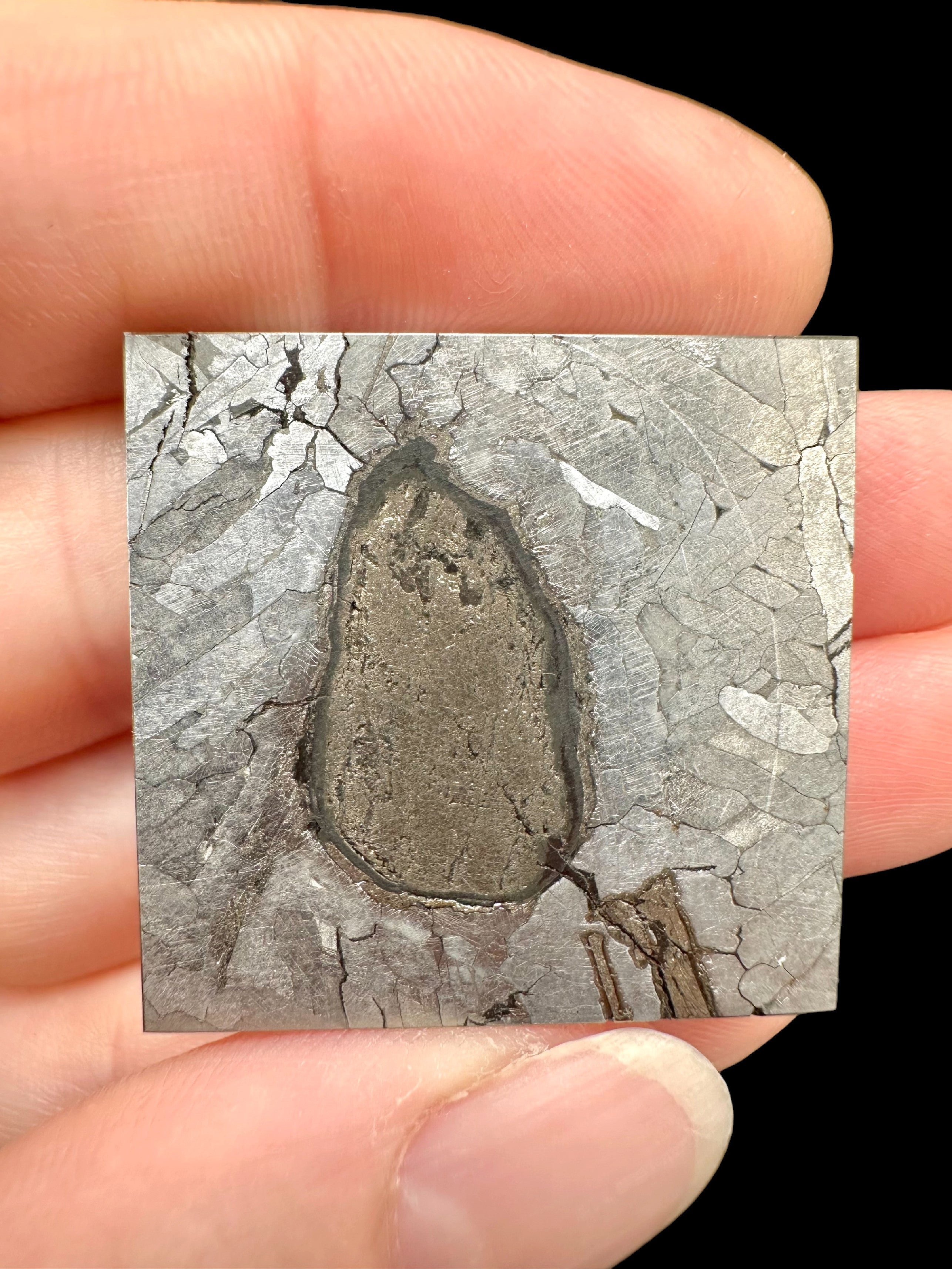 Meteorite Hickman 12,6g – Australia - MEHI01