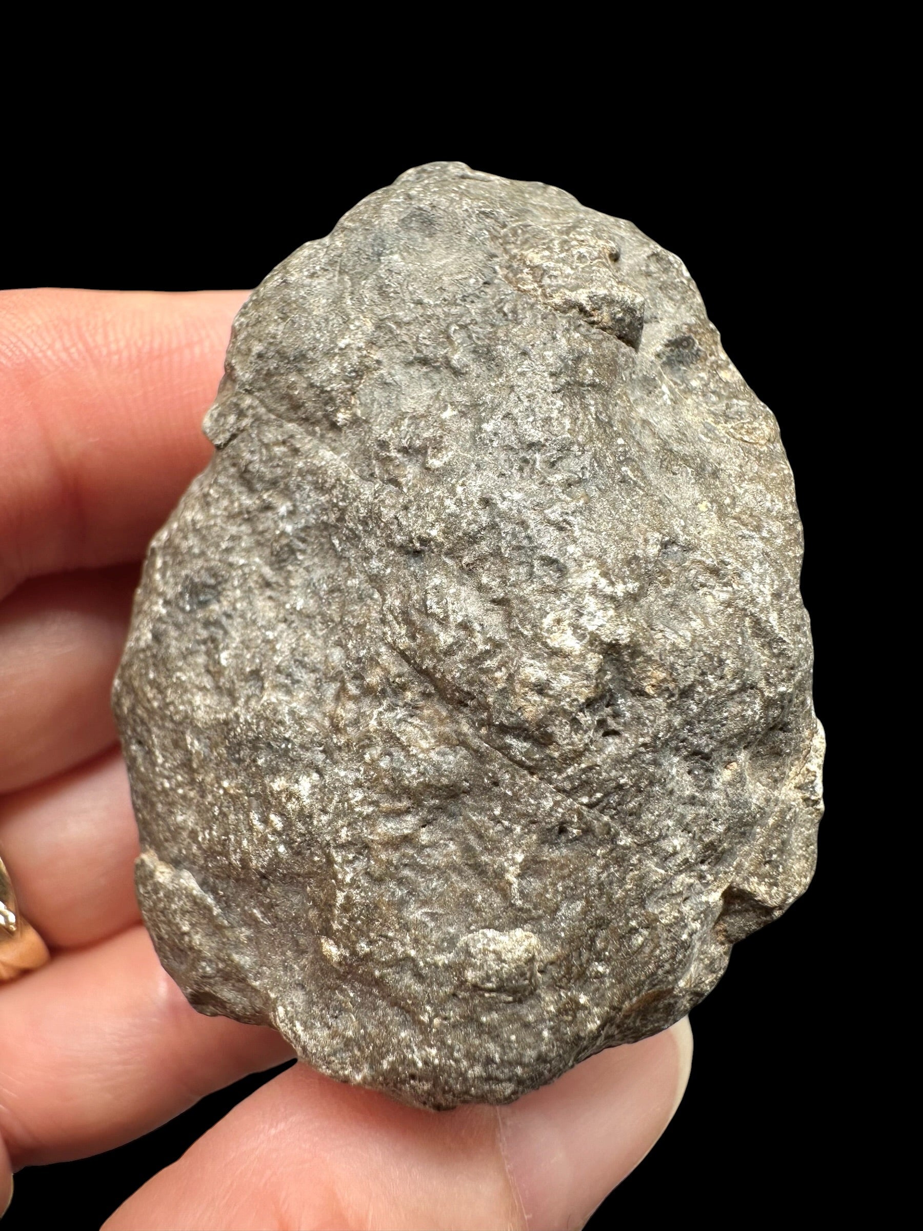 Meteorite Jikharra 001 – 79,5g – Libya - MEJI31