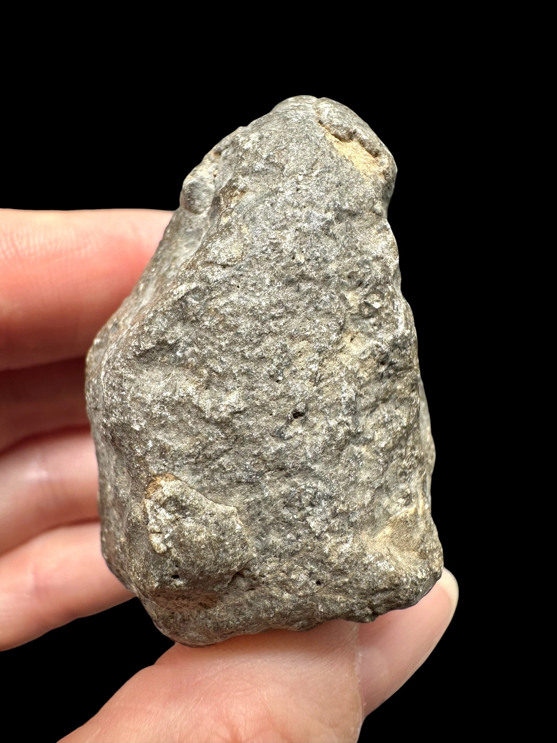 Meteorite Jikharra 001 – 79,5g – Libya - MEJI31