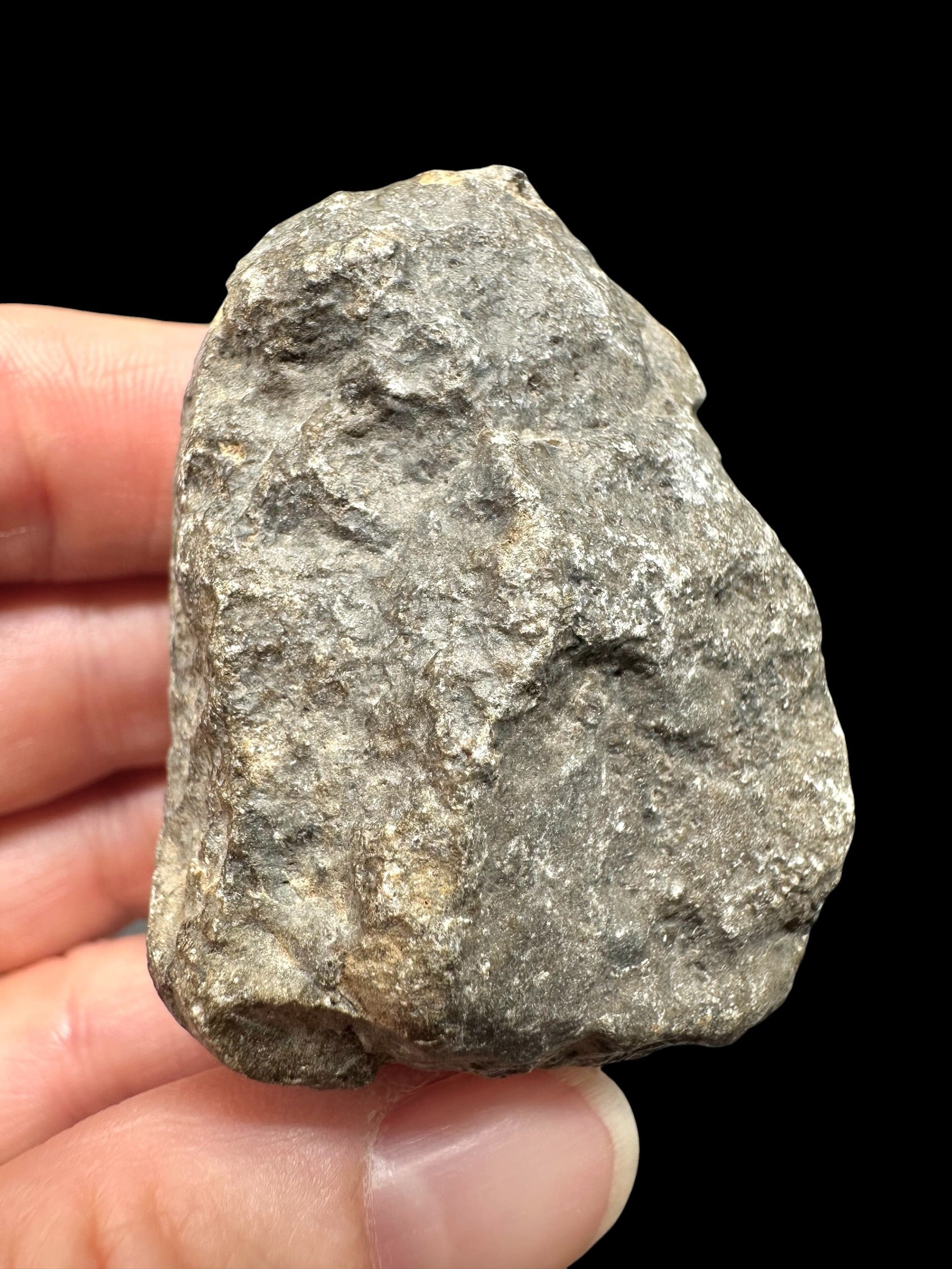 Meteorite Jikharra 001 – 79,5g – Libya