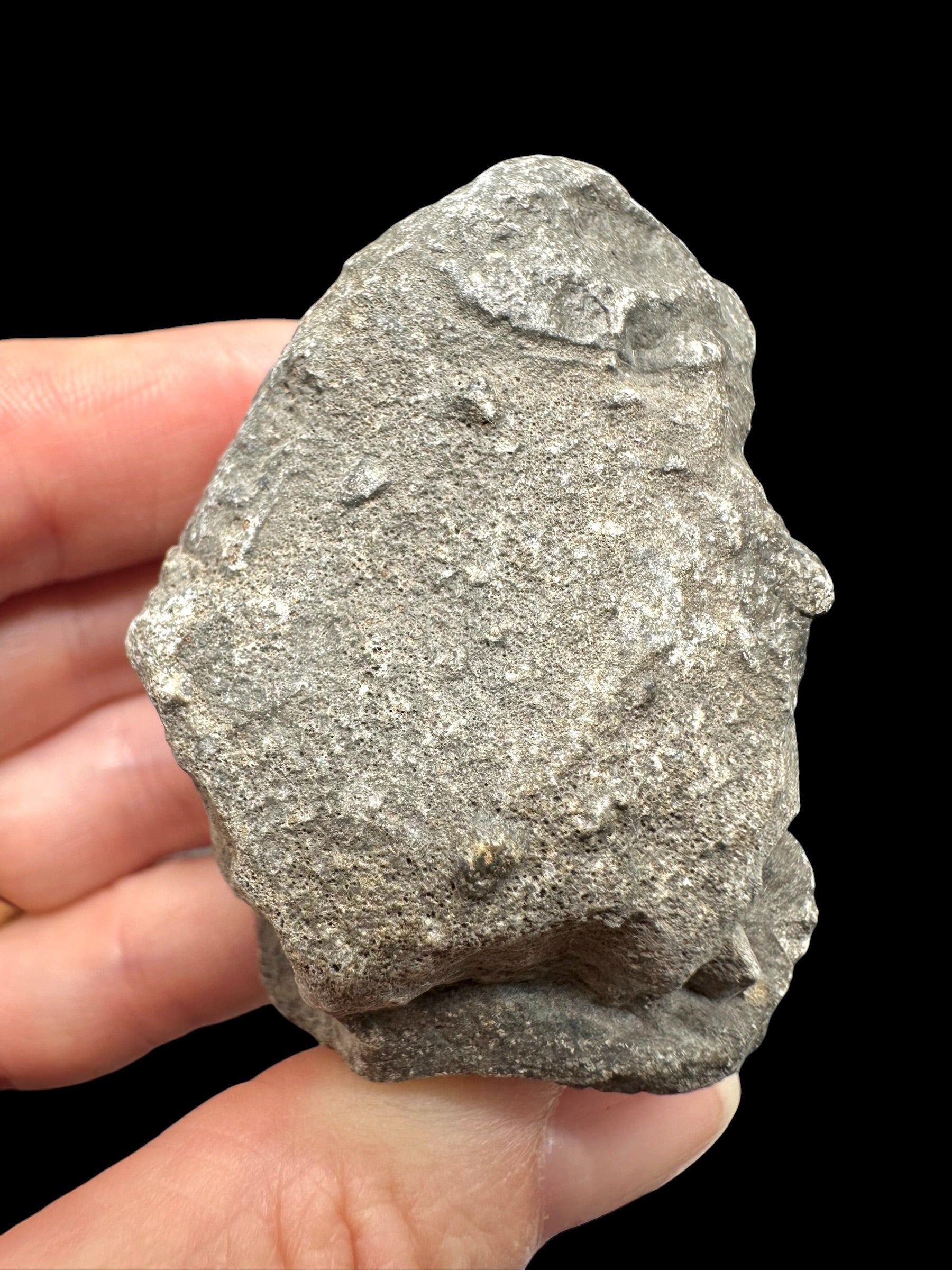 Meteorite Jikharra 001 – 97,5g – Libya - MEJI32