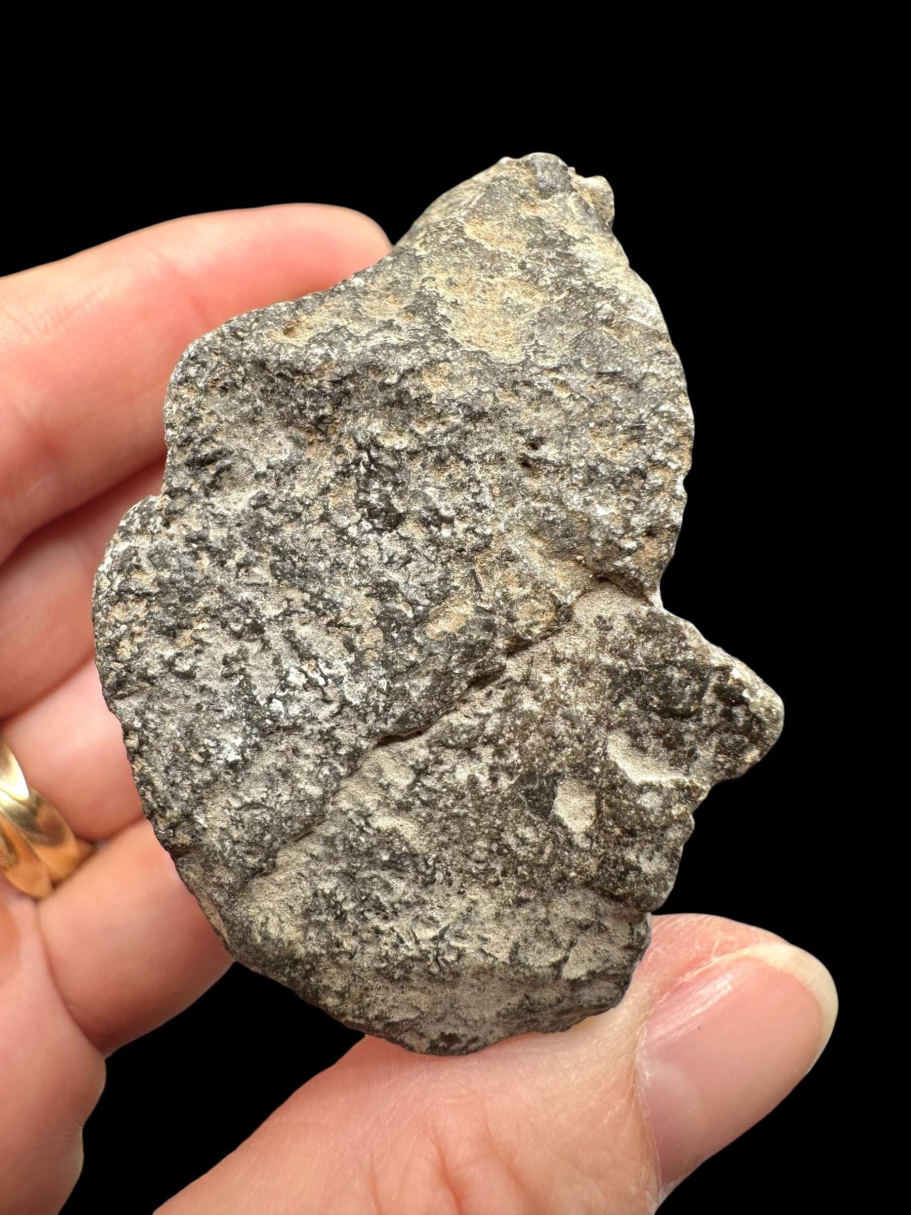 Meteorite Jikharra 001 – 78,2g – Libya - MEJI34