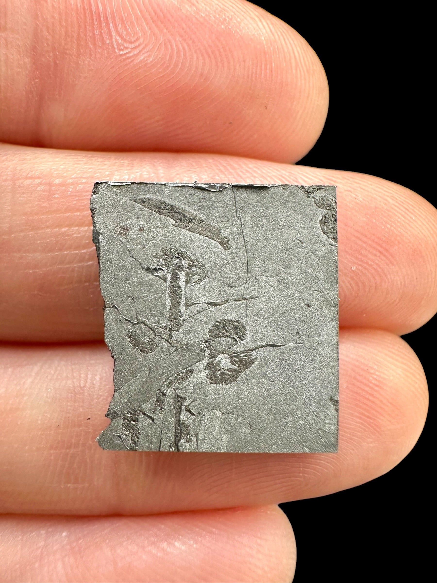 Meteorite Nantan 3,9g – Guangxi, China - MENA36