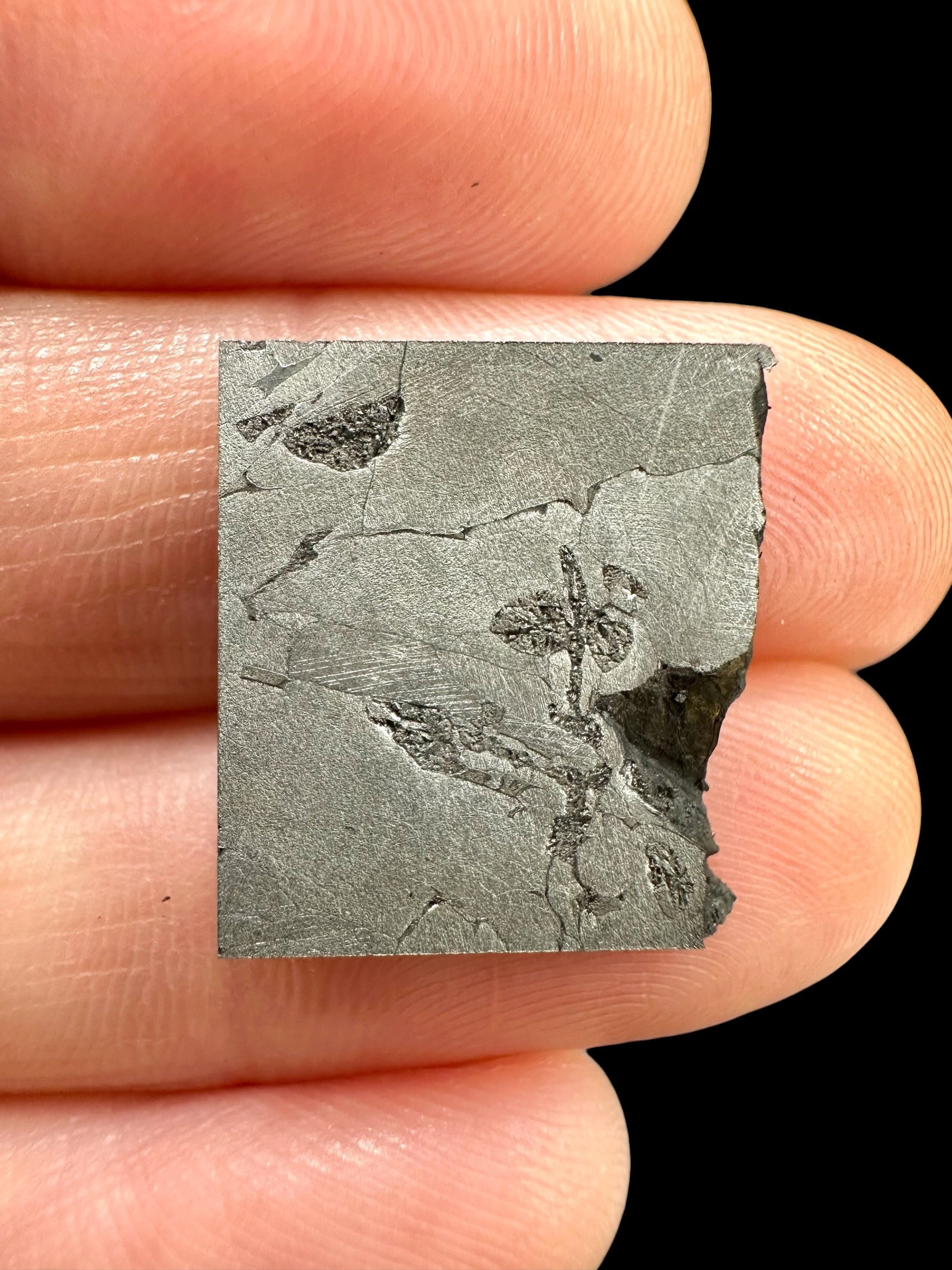 Meteorite Nantan 3,9g – Guangxi, China