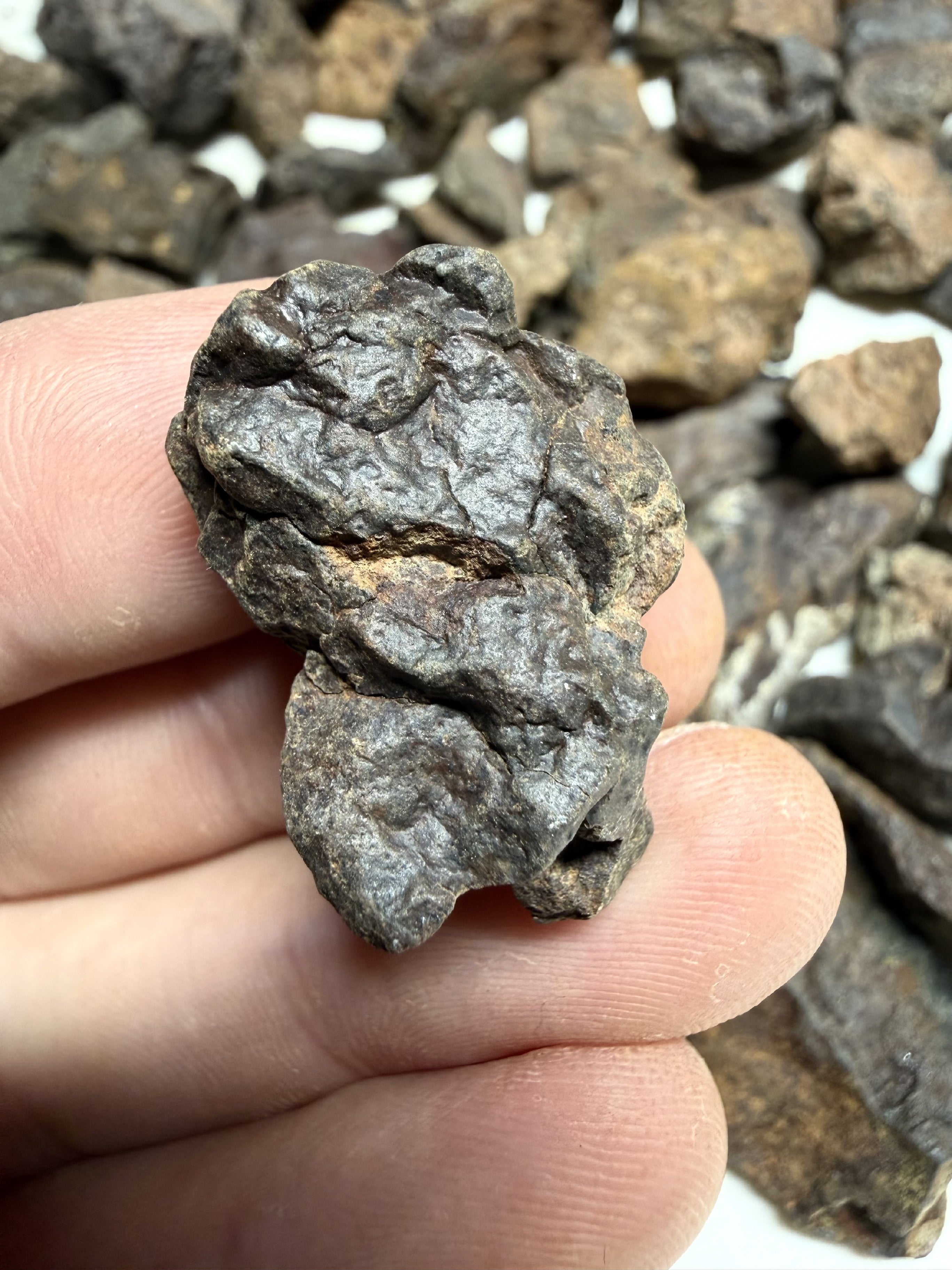 1kg of NWA X stony meteorites – Northwest Africa, 5-20g - VEL01