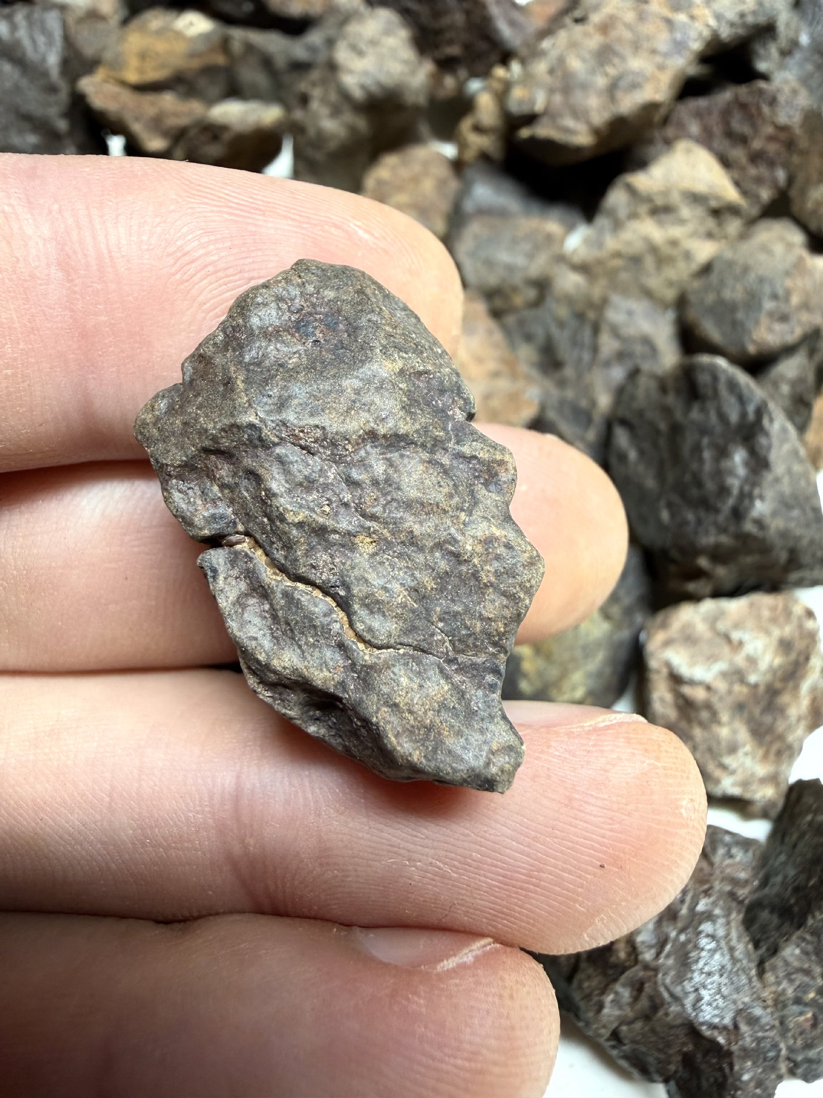 1kg of NWA X stony meteorites – Northwest Africa, 5-20g - VEL01