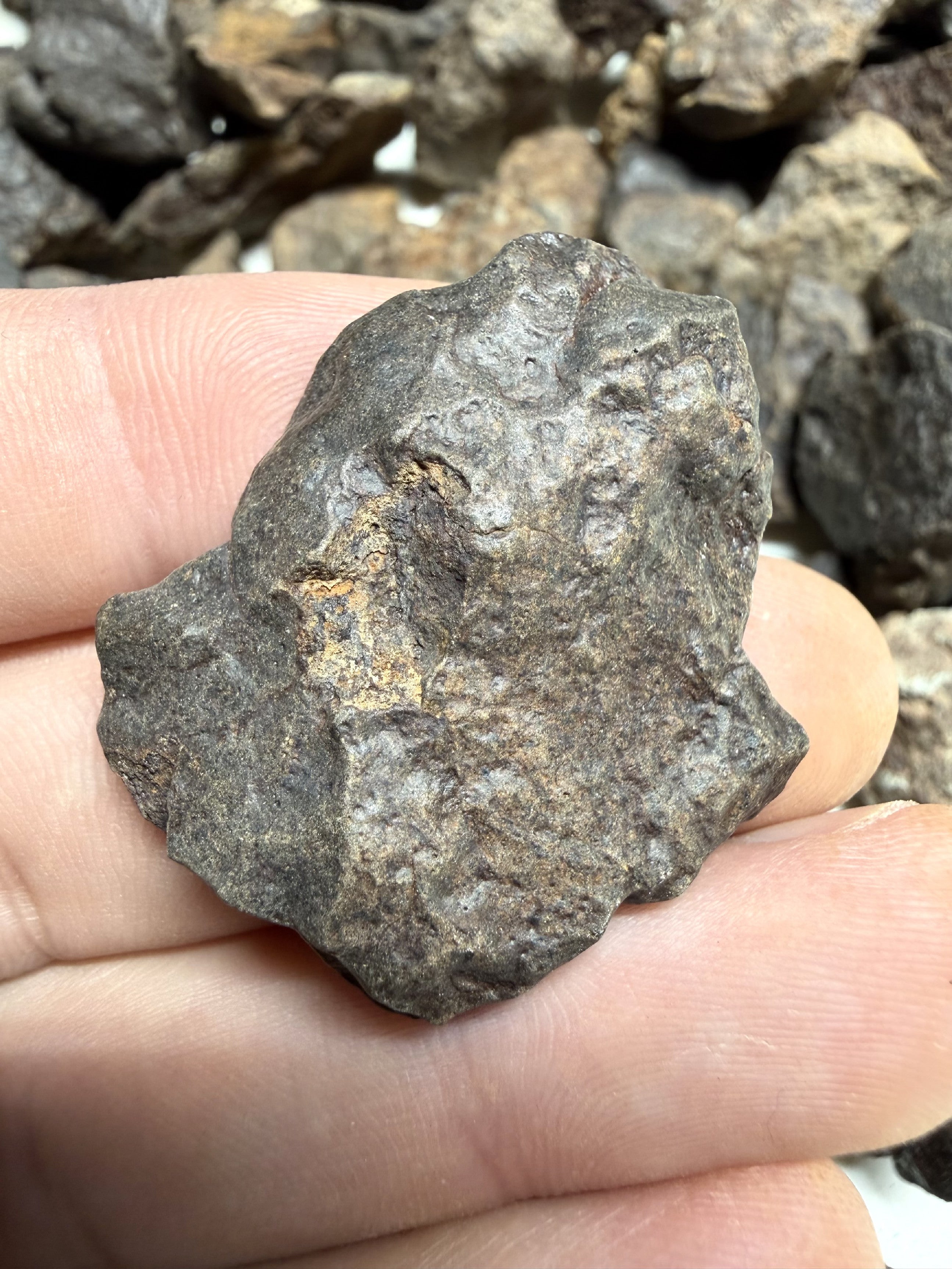 1kg of NWA X stony meteorites – Northwest Africa, 5-20g - VEL01