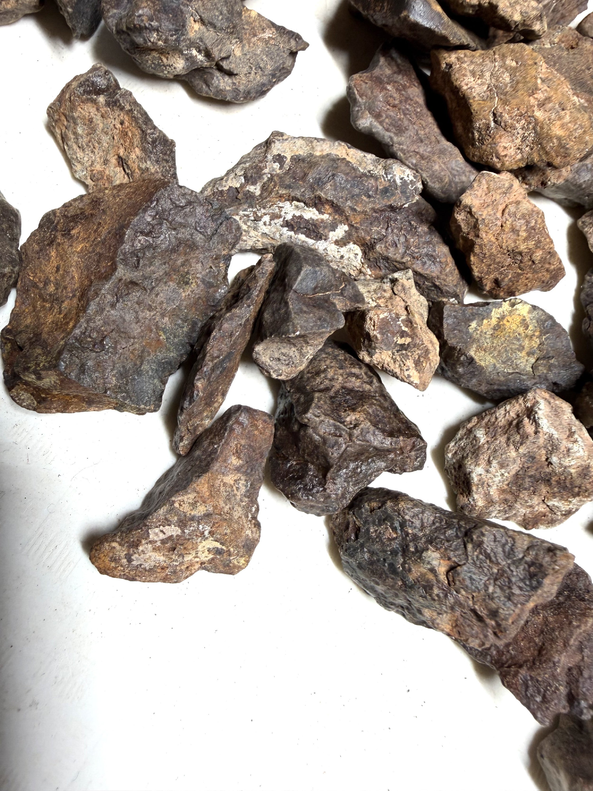 1kg of NWA X stony meteorites – Northwest Africa, 5-20g - VEL01