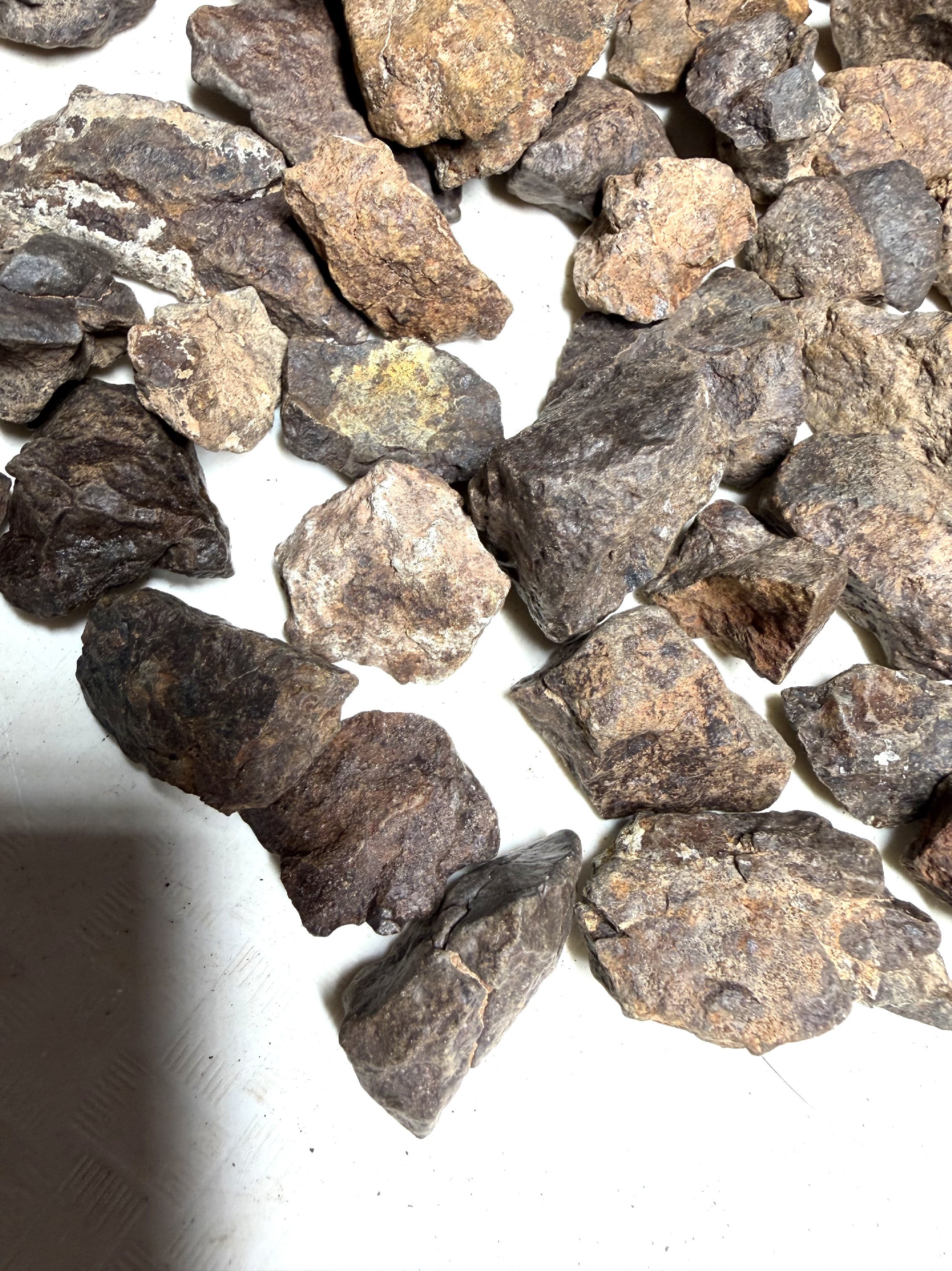 1kg of NWA X stony meteorites – Northwest Africa, 5-20g - VEL01