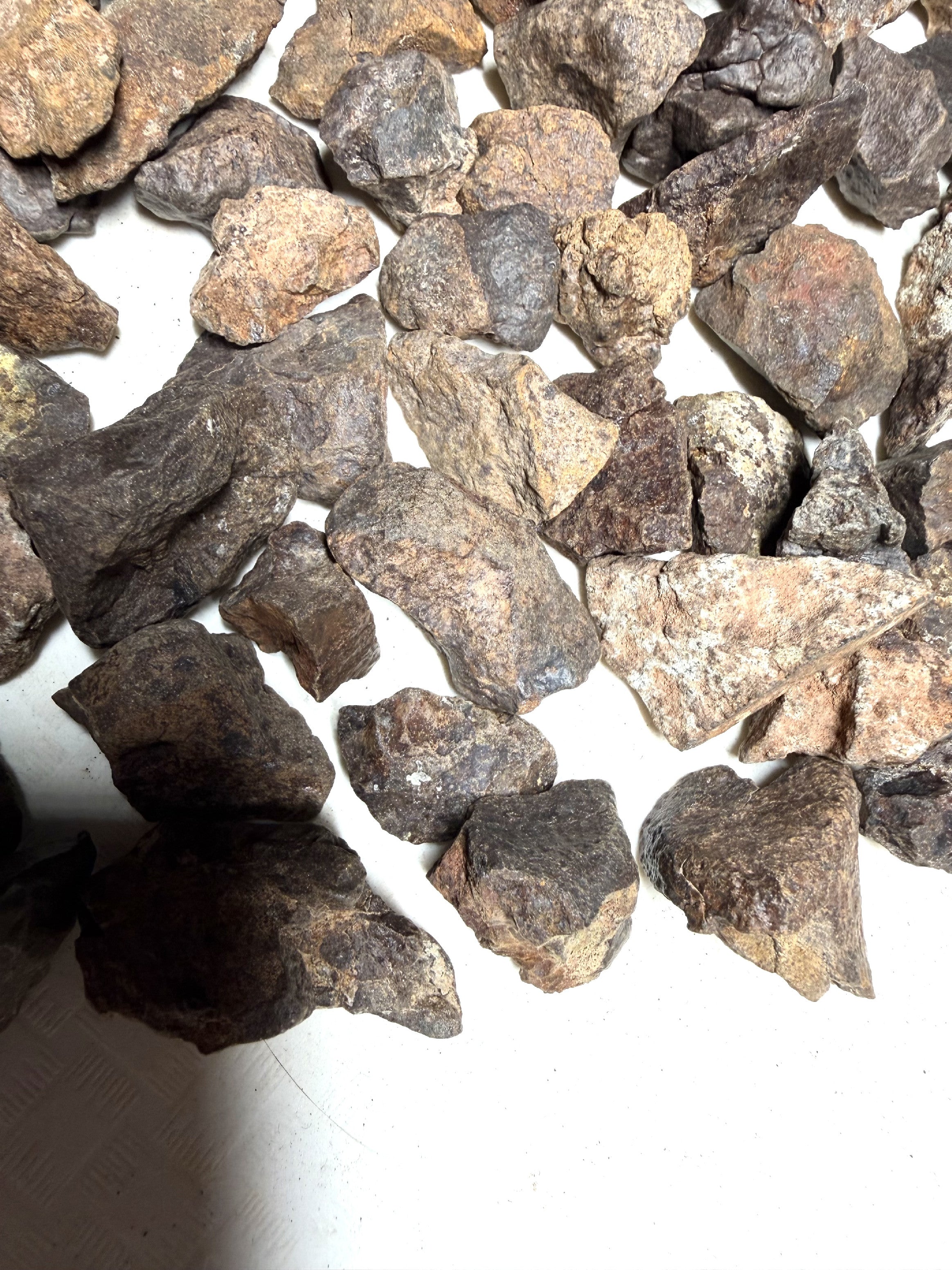 1kg of NWA X stony meteorites – Northwest Africa, 5-20g - VEL01
