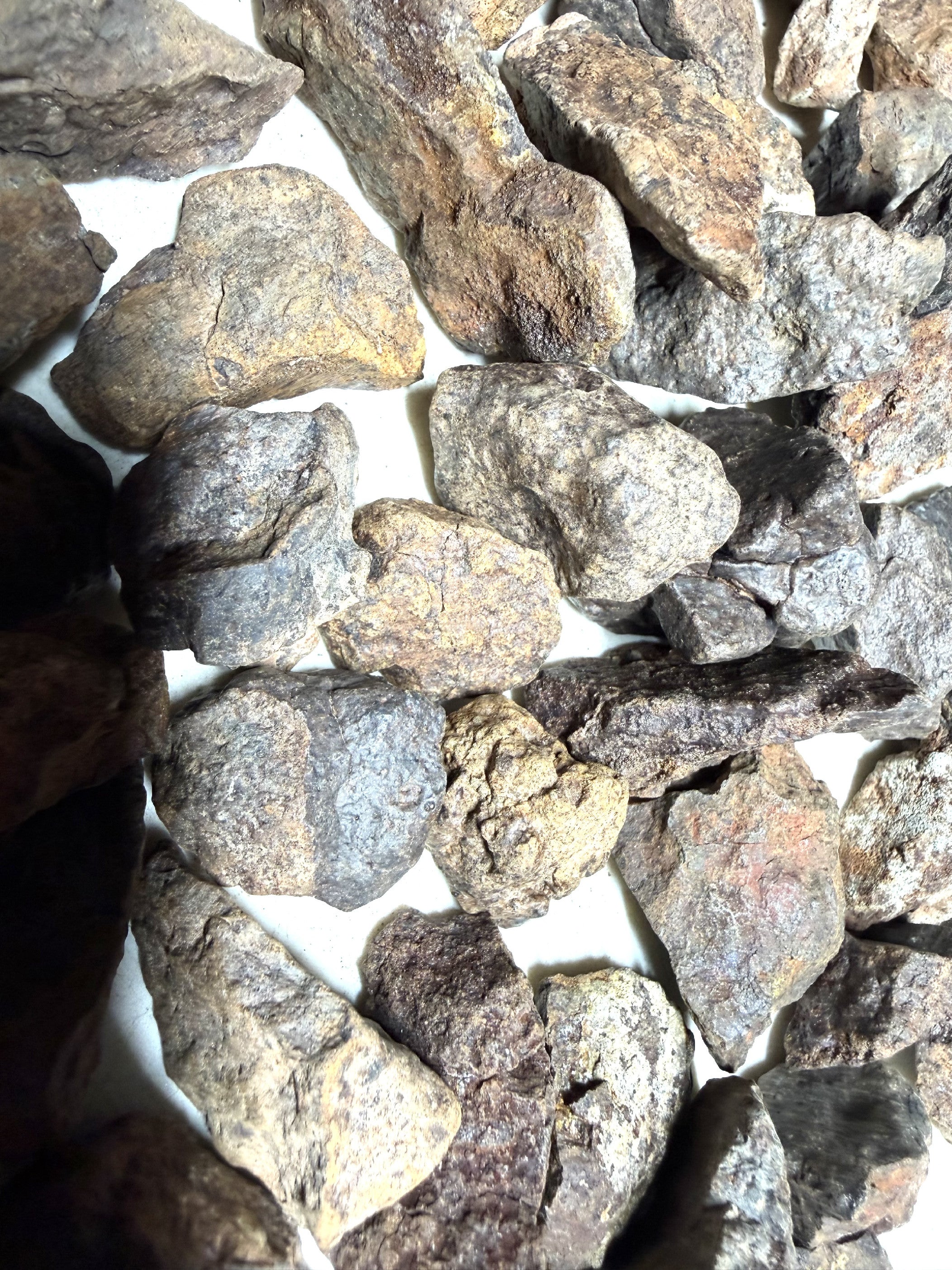 1kg of NWA X stony meteorites – Northwest Africa, 5-20g - VEL01