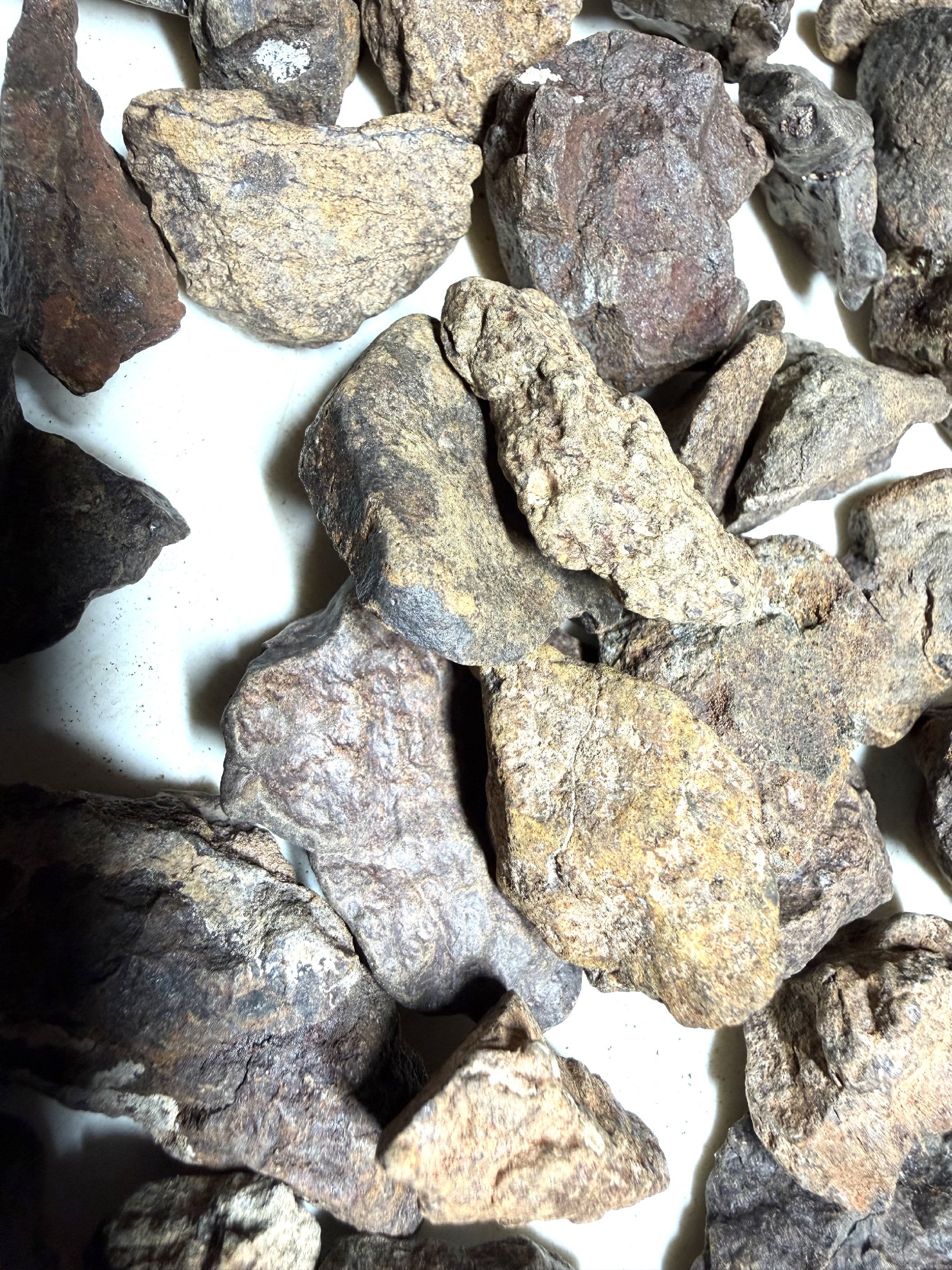 1kg of NWA X stony meteorites – Northwest Africa, 5-20g - VEL01