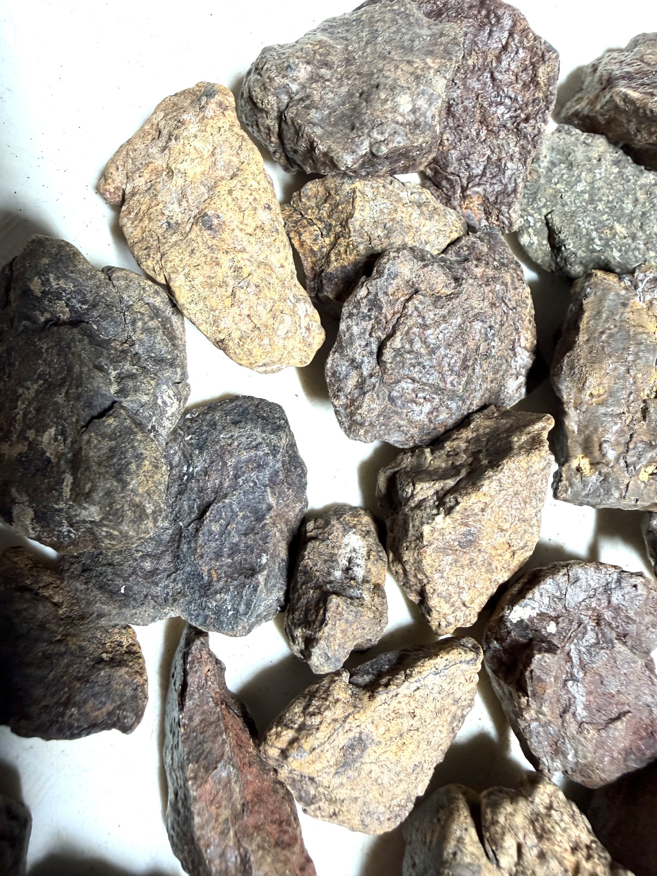 1kg of NWA X stony meteorites – Northwest Africa, 5-20g - VEL01