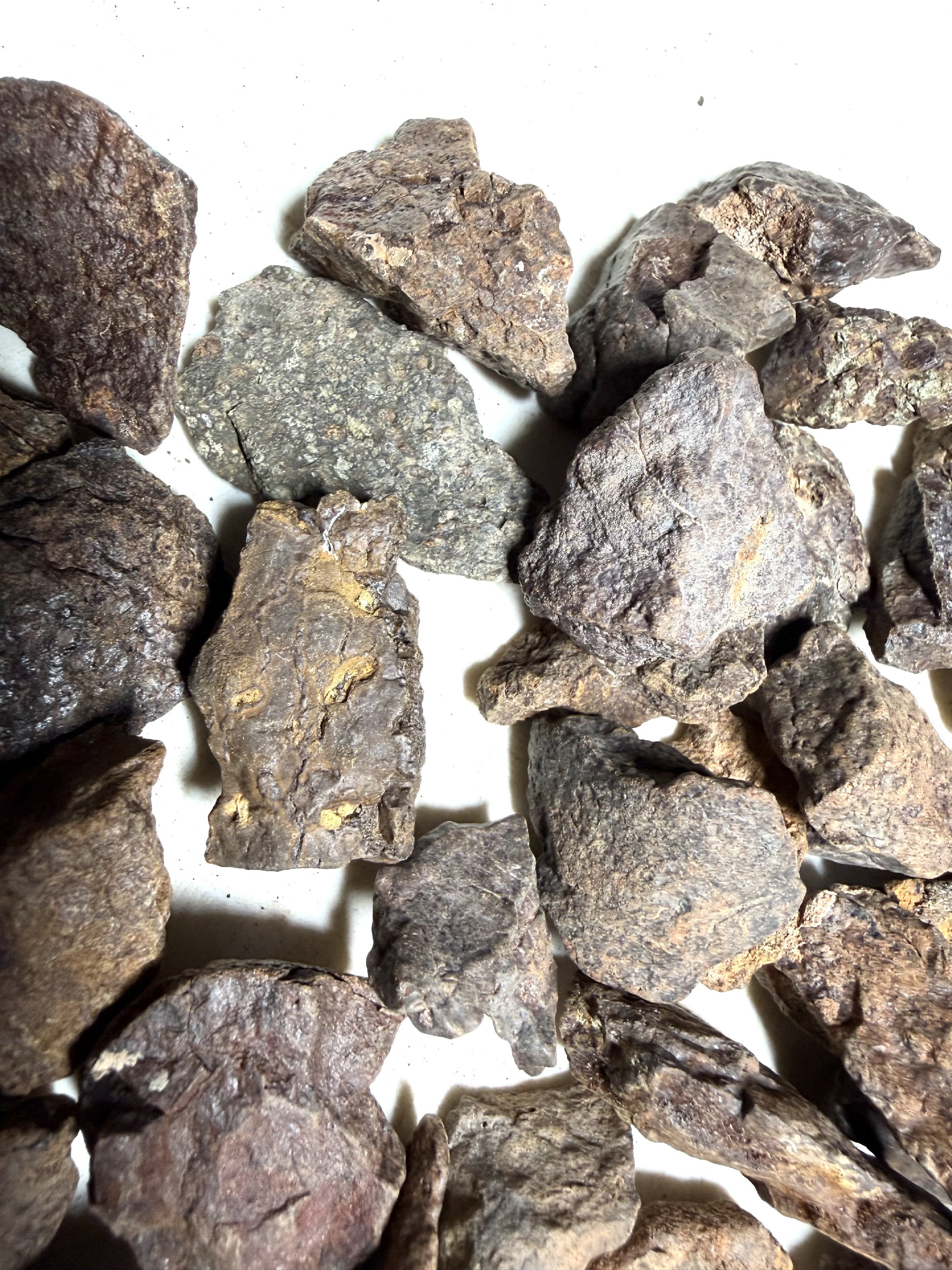 1kg of NWA X stony meteorites – Northwest Africa, 5-20g - VEL01