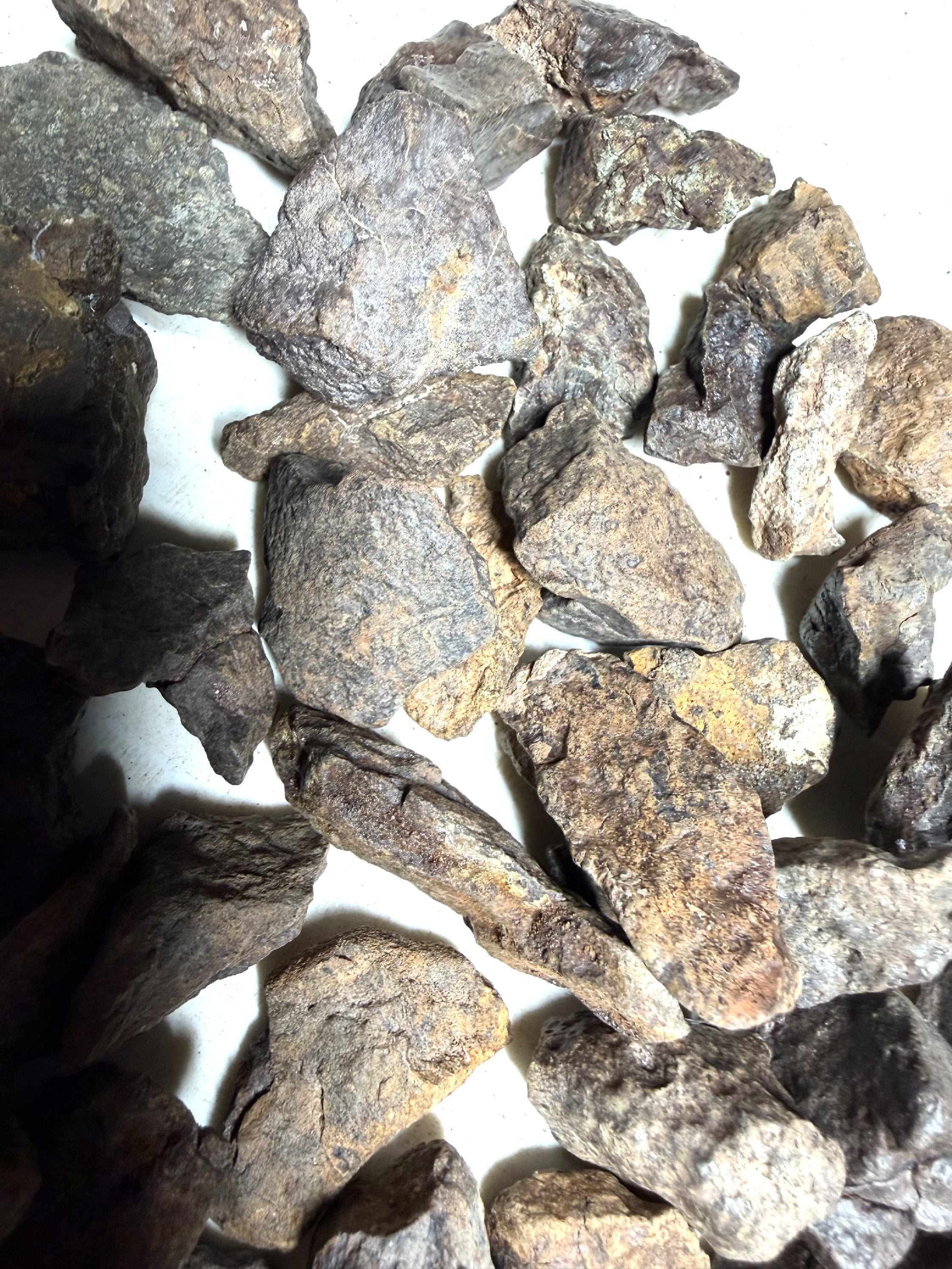 1kg of NWA X stony meteorites – Northwest Africa, 5-20g - VEL01
