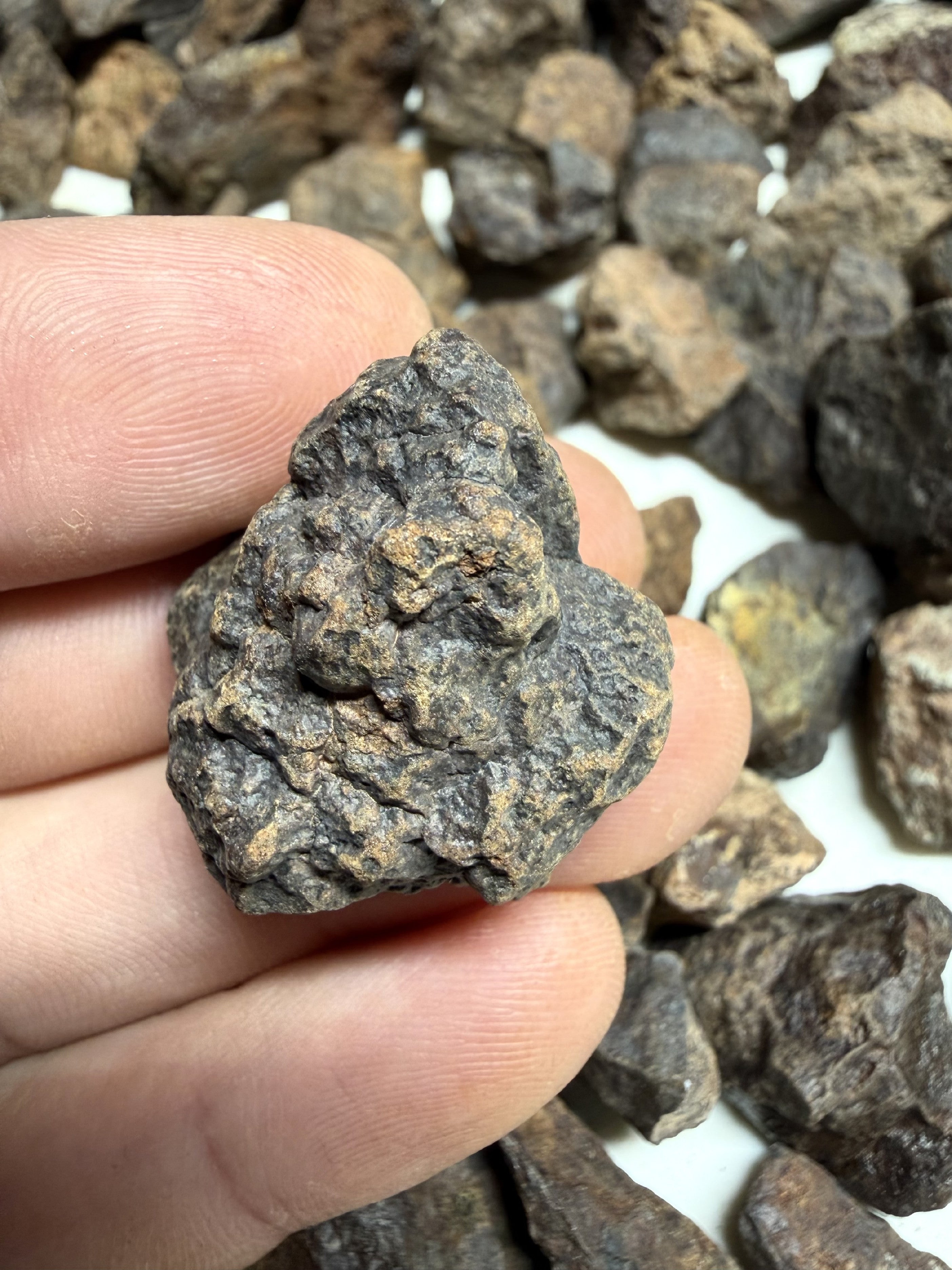 1kg of NWA X stony meteorites – Northwest Africa, 5-20g - VEL01