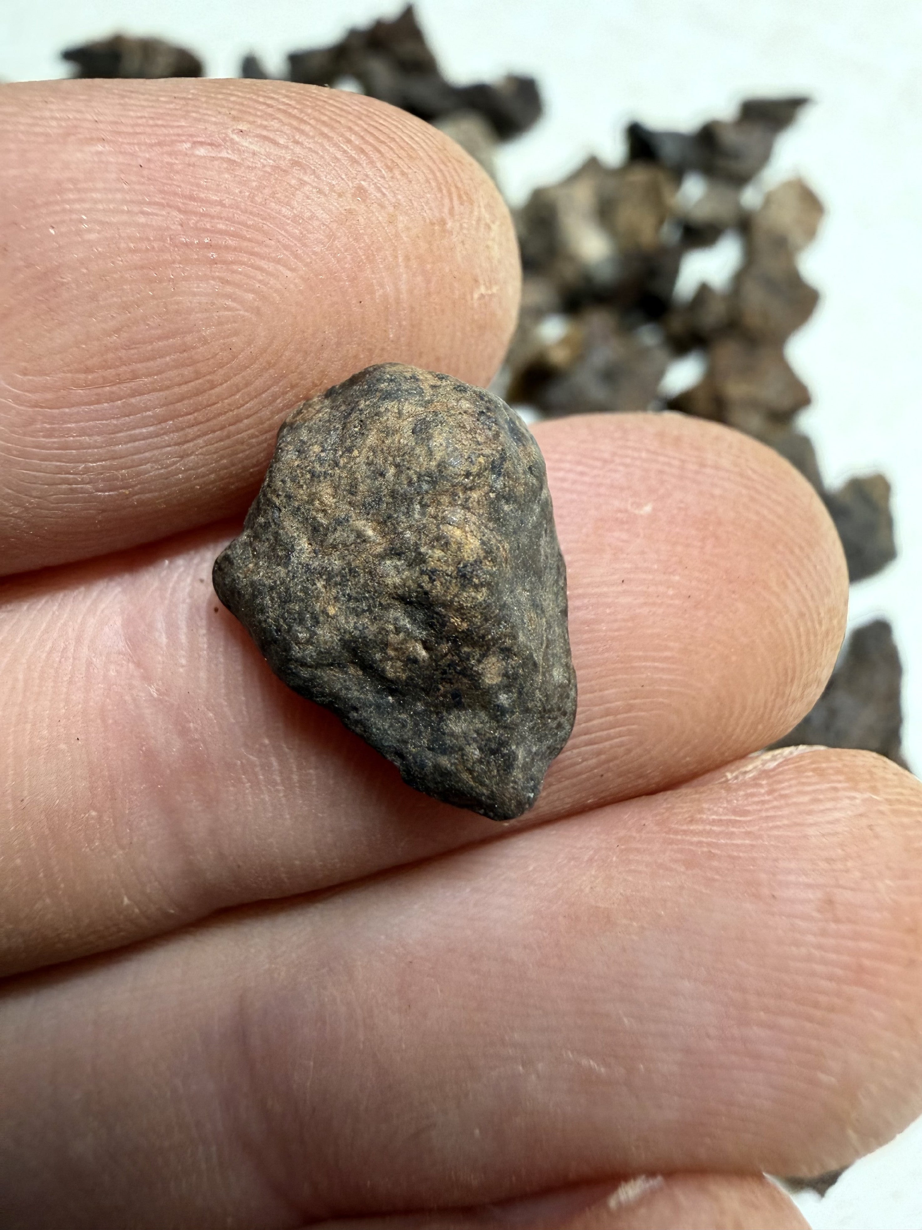 200g of NWA X stony meteorites – Northwest Africa, 0-2g - VEL34