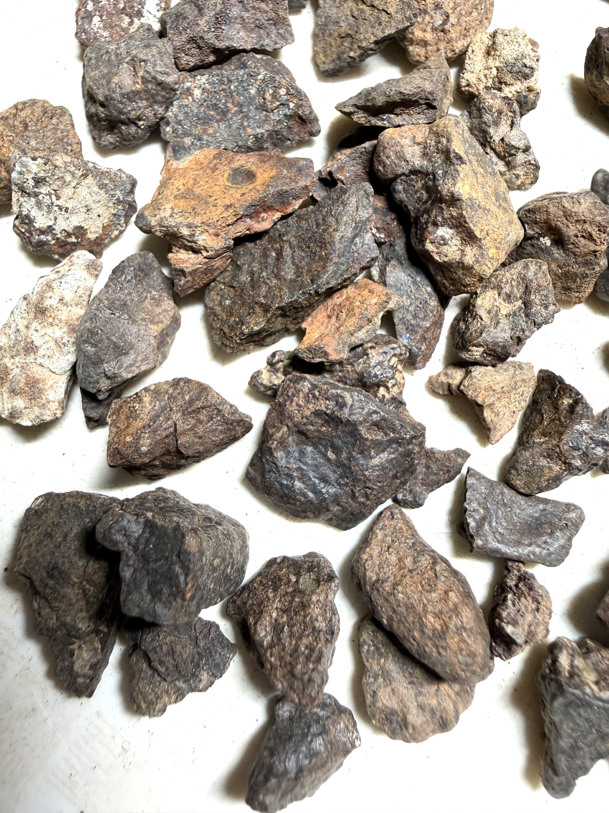 200g of NWA X stony meteorites – Northwest Africa, 0-2g - VEL34