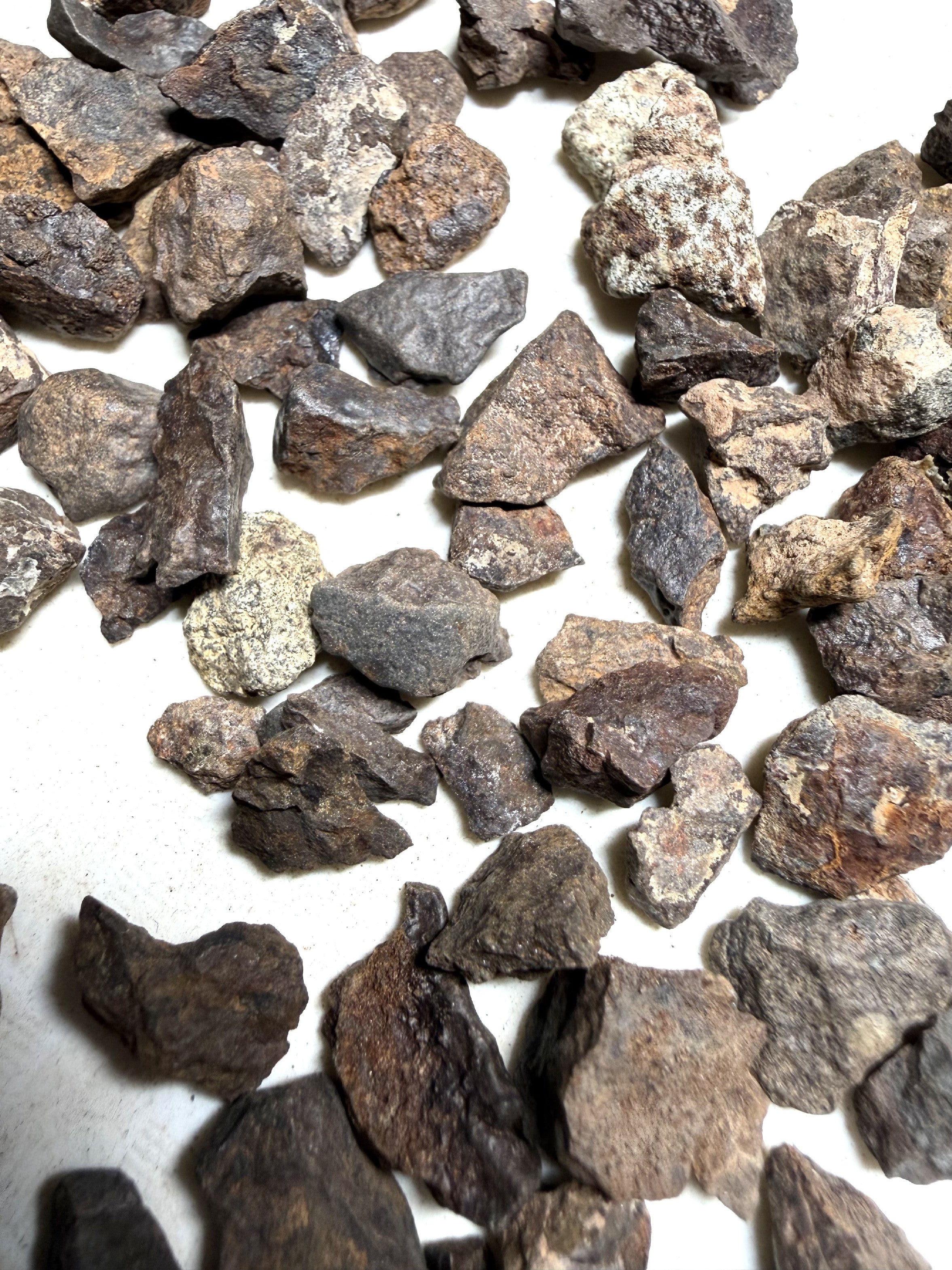 200g of NWA X stony meteorites – Northwest Africa, 0-2g - VEL34