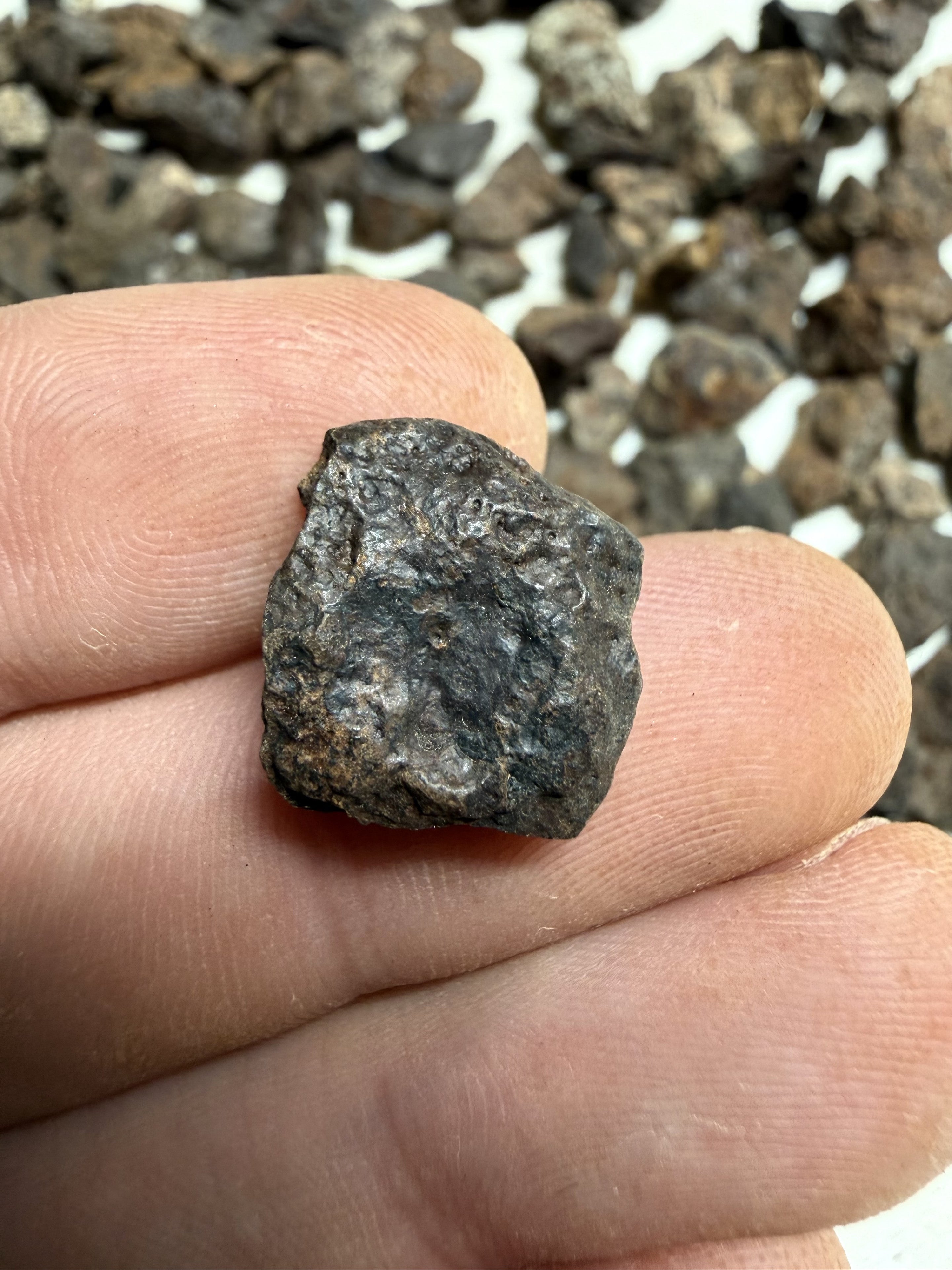 200g of NWA X stony meteorites – Northwest Africa, 0-2g - VEL34