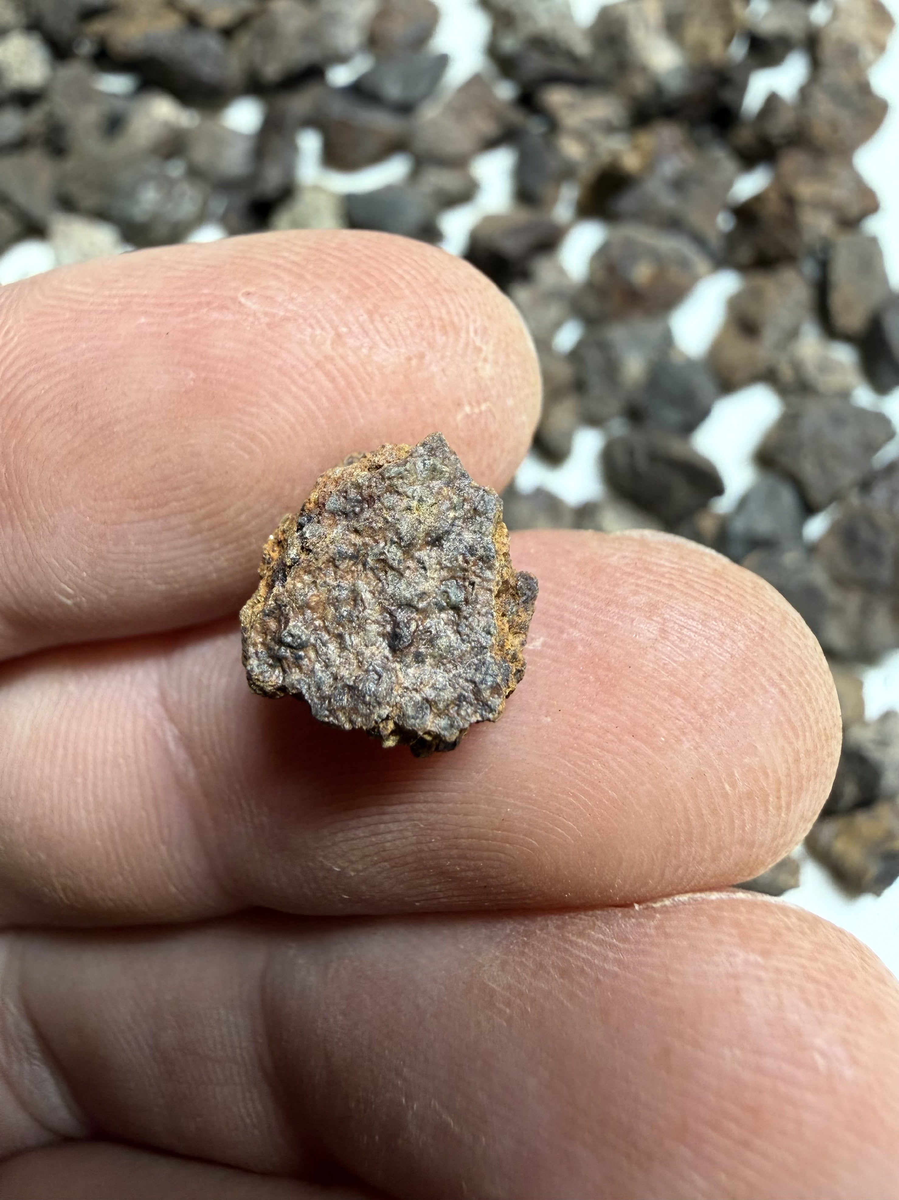 200g of NWA X stony meteorites – Northwest Africa, 0-2g - VEL34