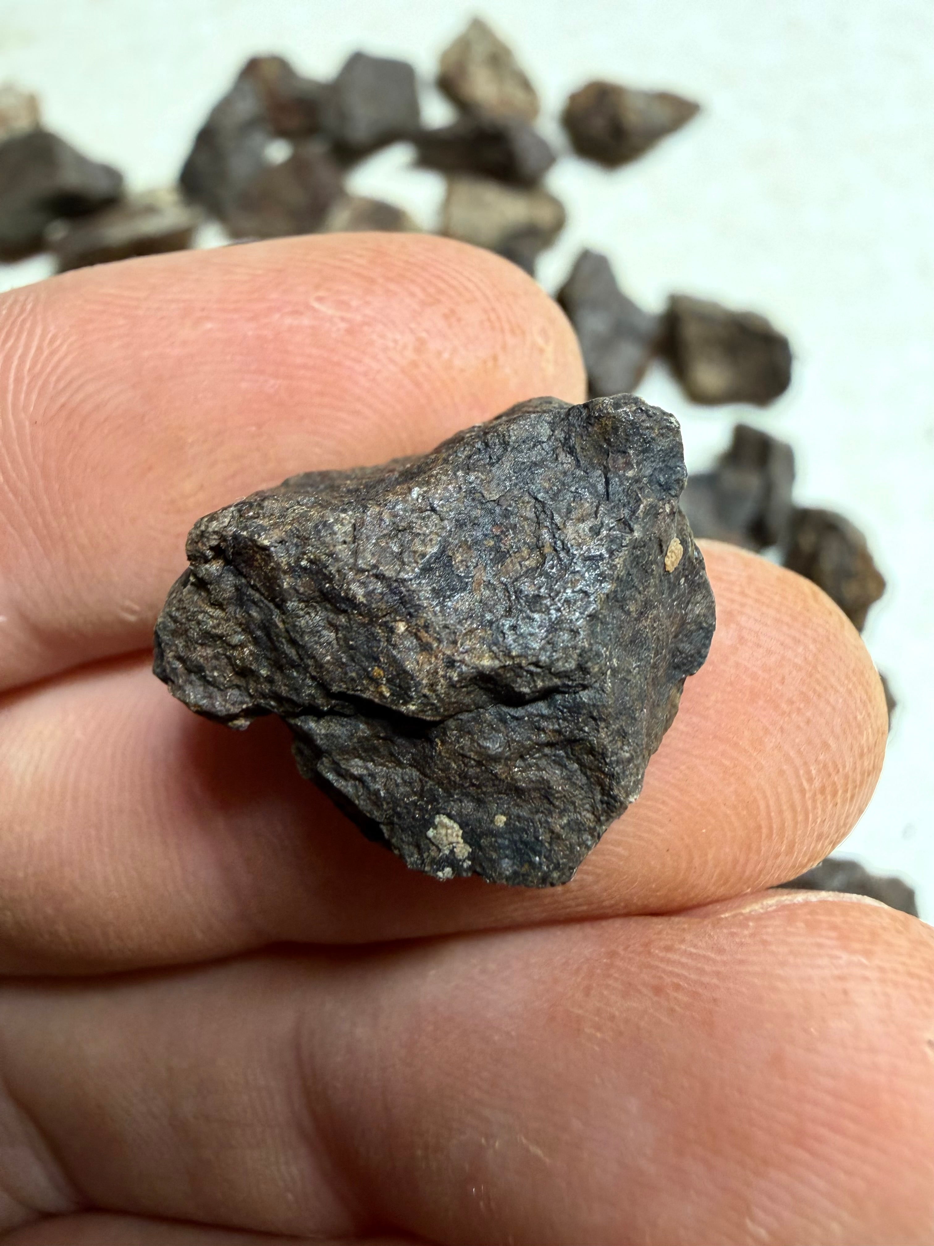 200g of NWA X stony meteorites – Northwest Africa, 2-5g - VEL35