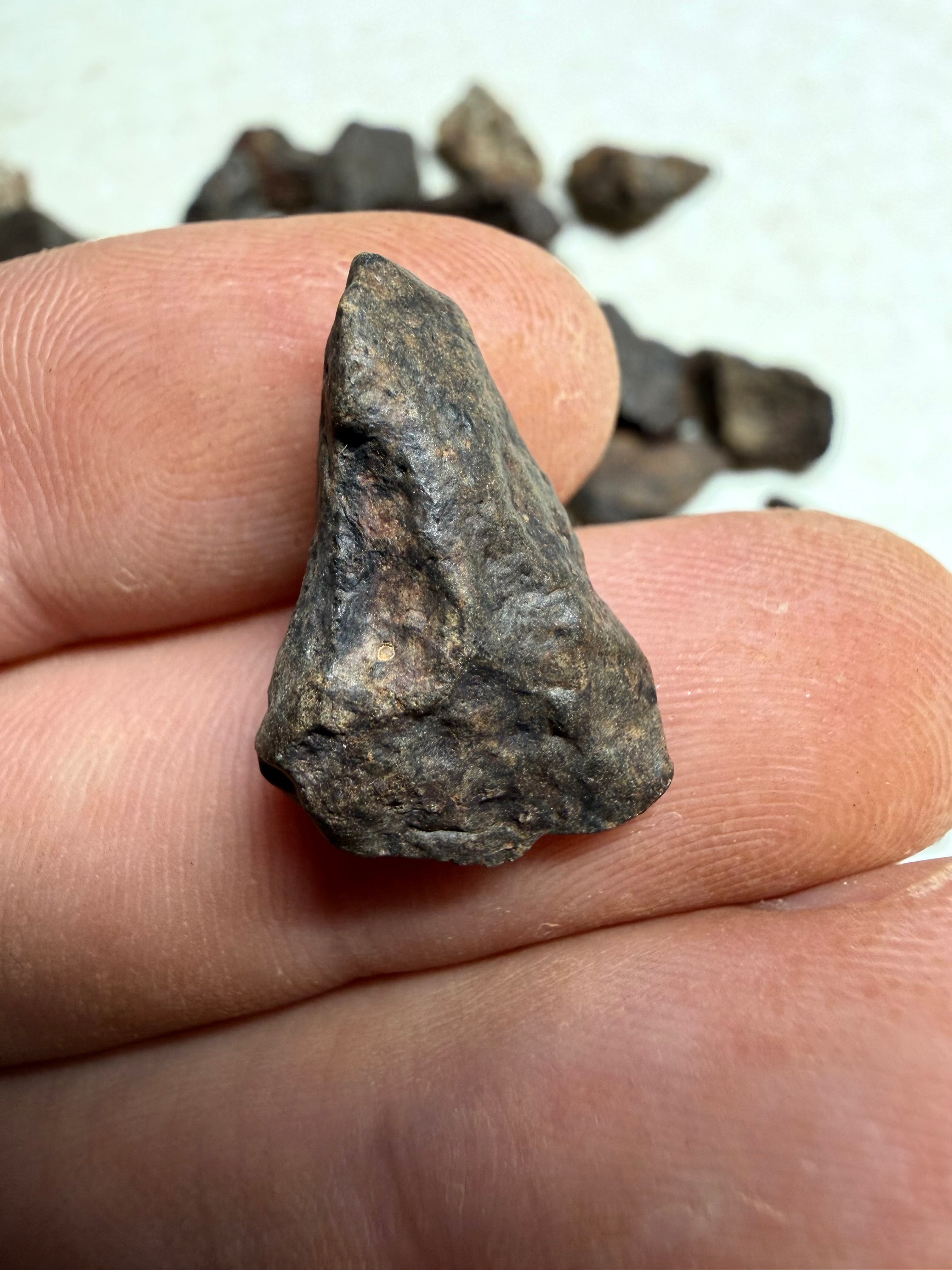 200g of NWA X stony meteorites – Northwest Africa, 2-5g - VEL35