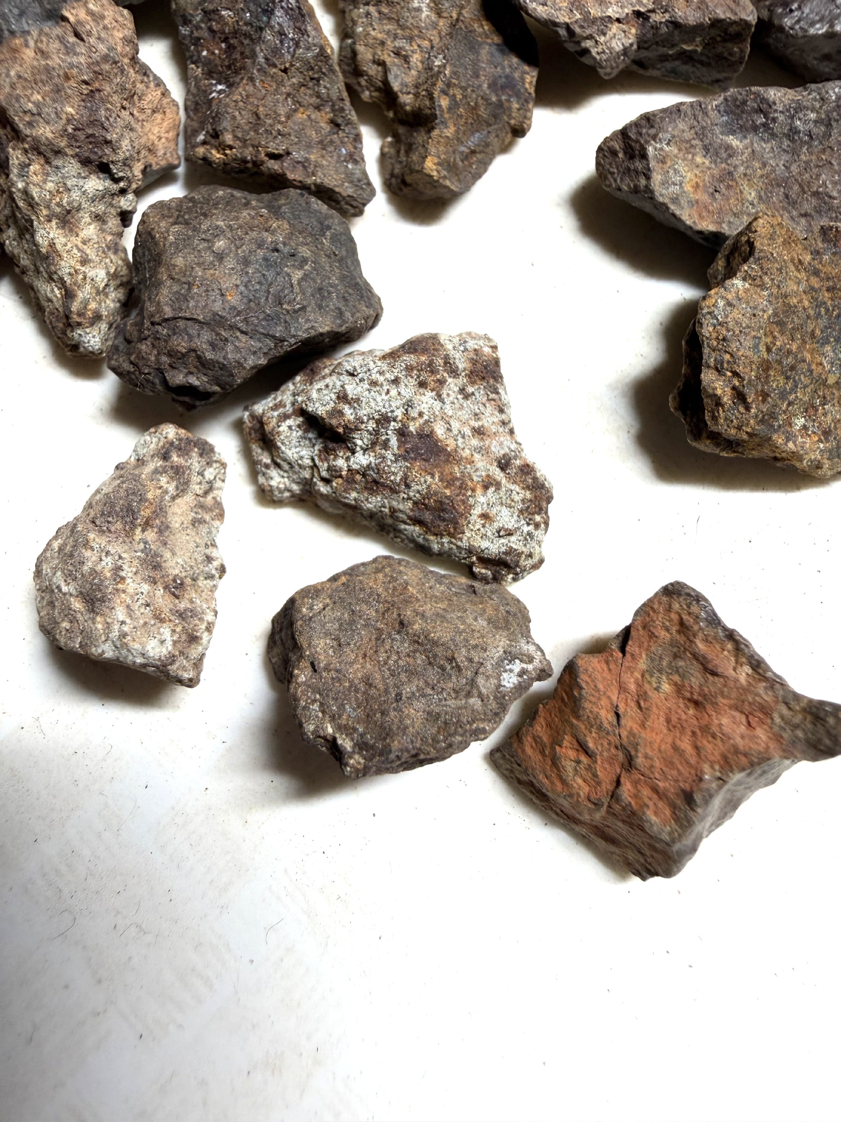 200g of NWA X stony meteorites – Northwest Africa, 2-5g - VEL35