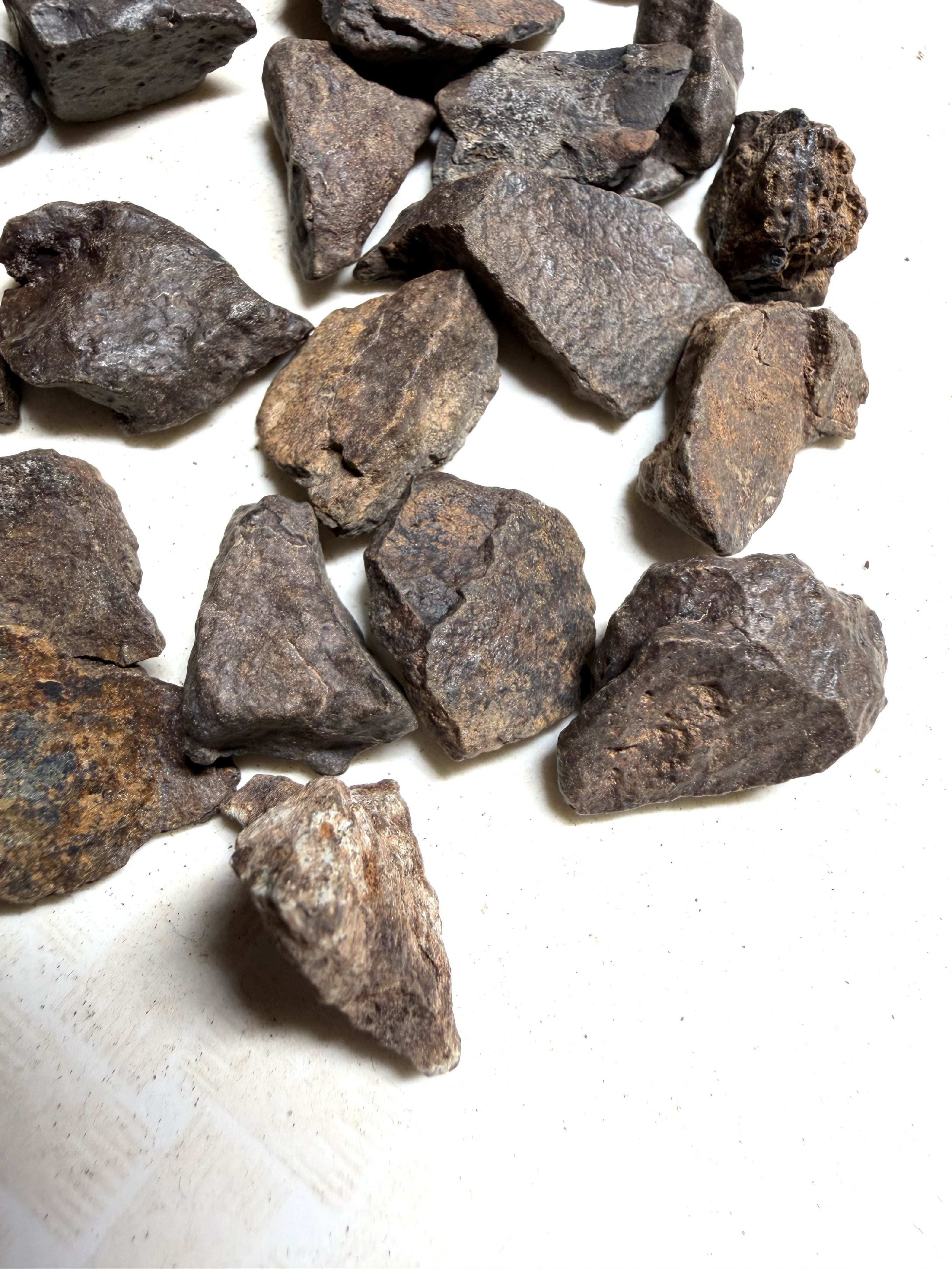 200g of NWA X stony meteorites – Northwest Africa, 2-5g - VEL35