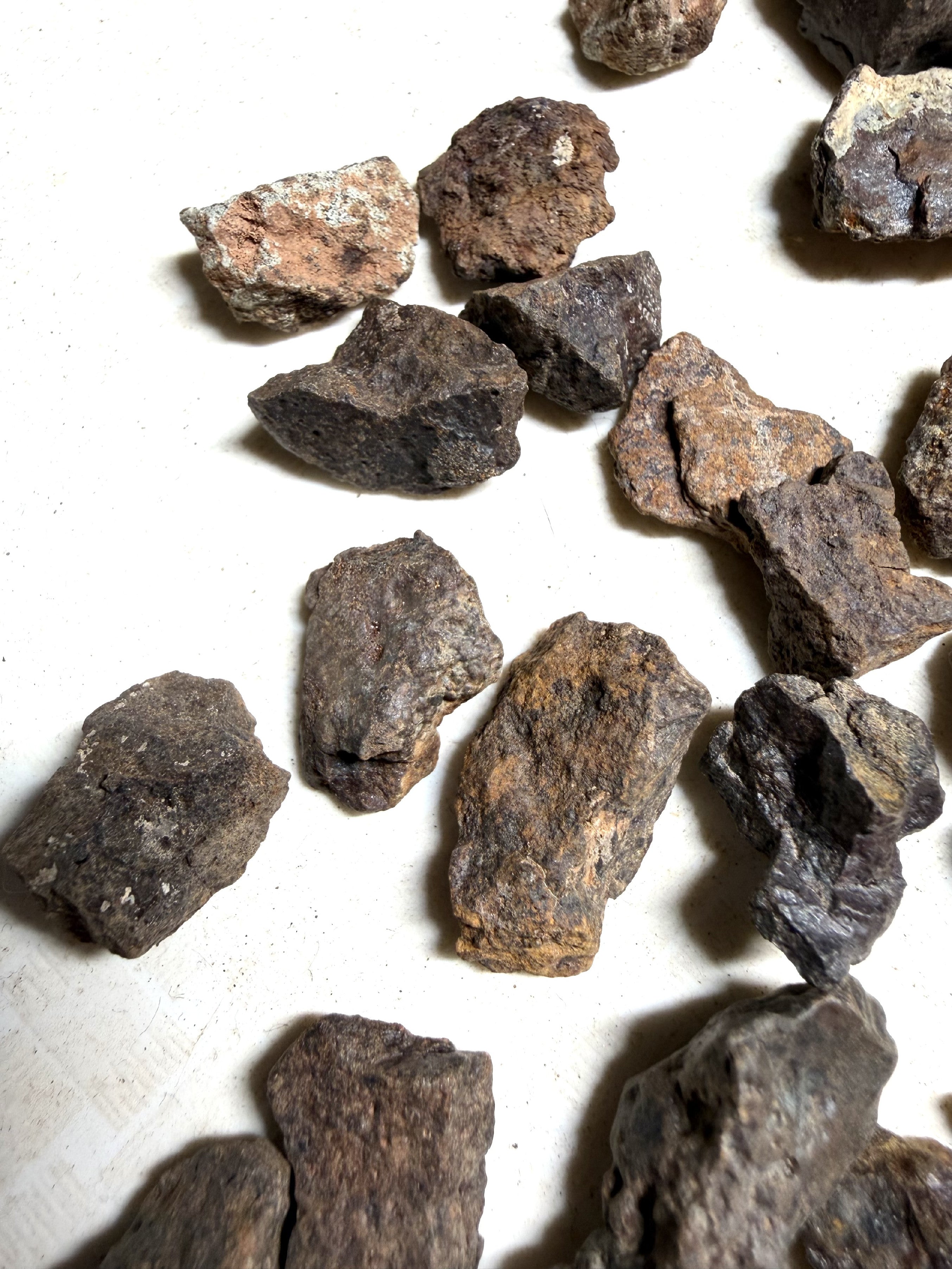 200g of NWA X stony meteorites – Northwest Africa, 2-5g - VEL35