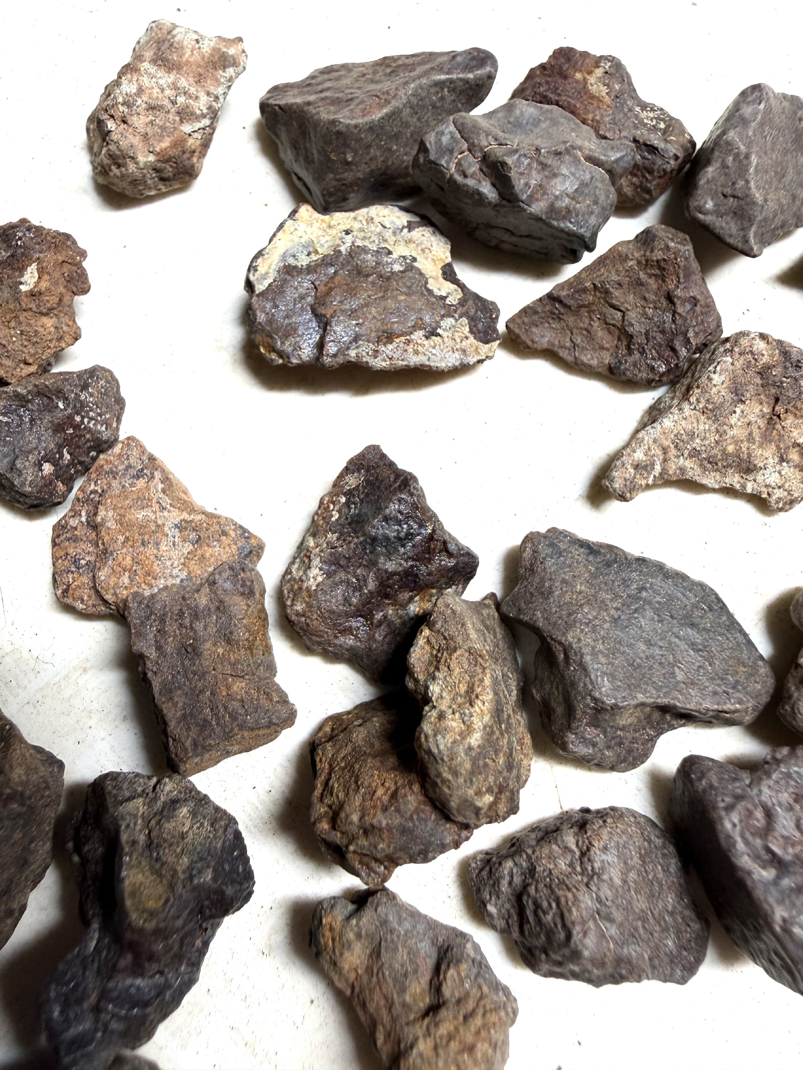 200g of NWA X stony meteorites – Northwest Africa, 2-5g - VEL35