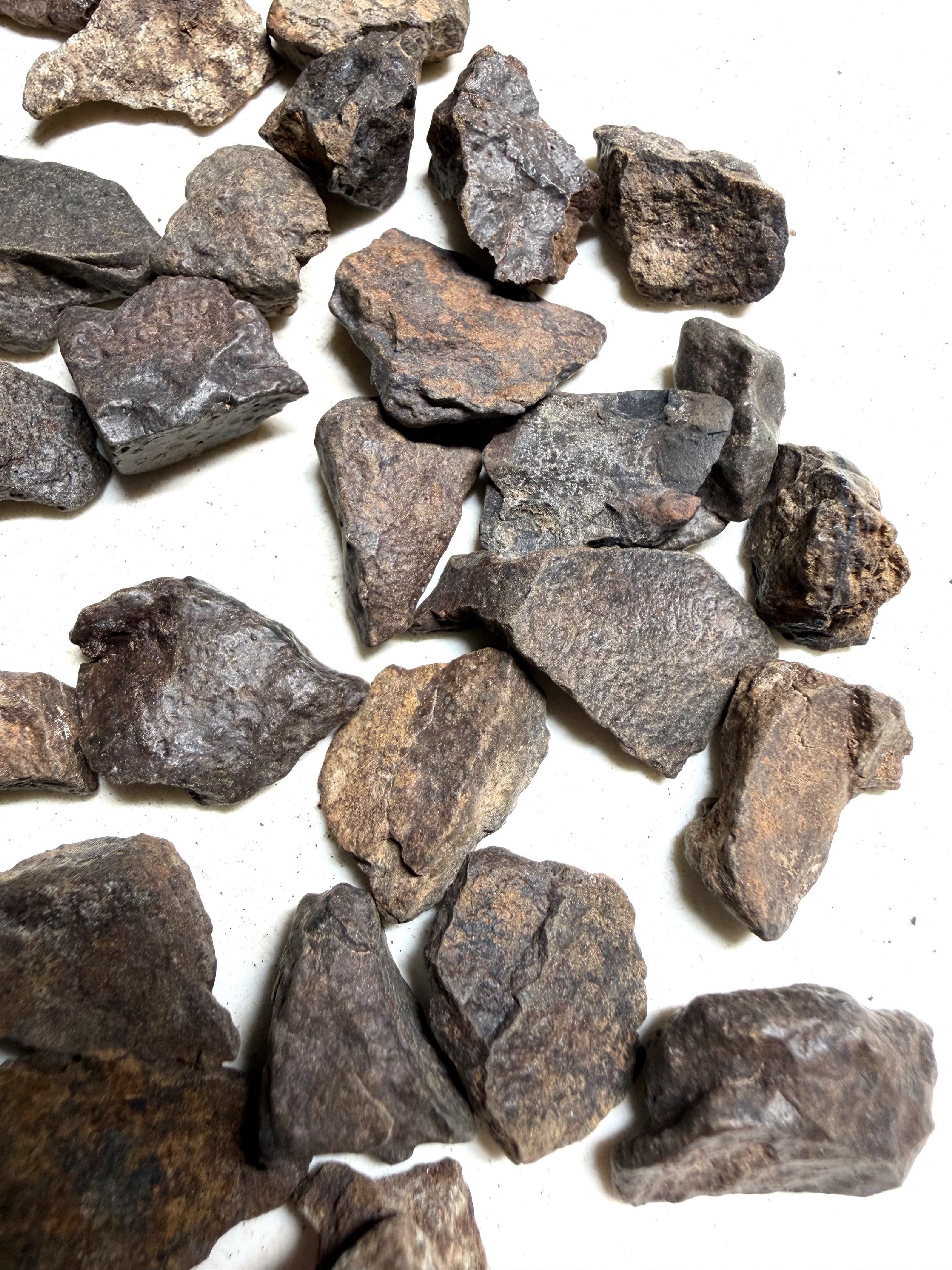 200g of NWA X stony meteorites – Northwest Africa, 2-5g - VEL35