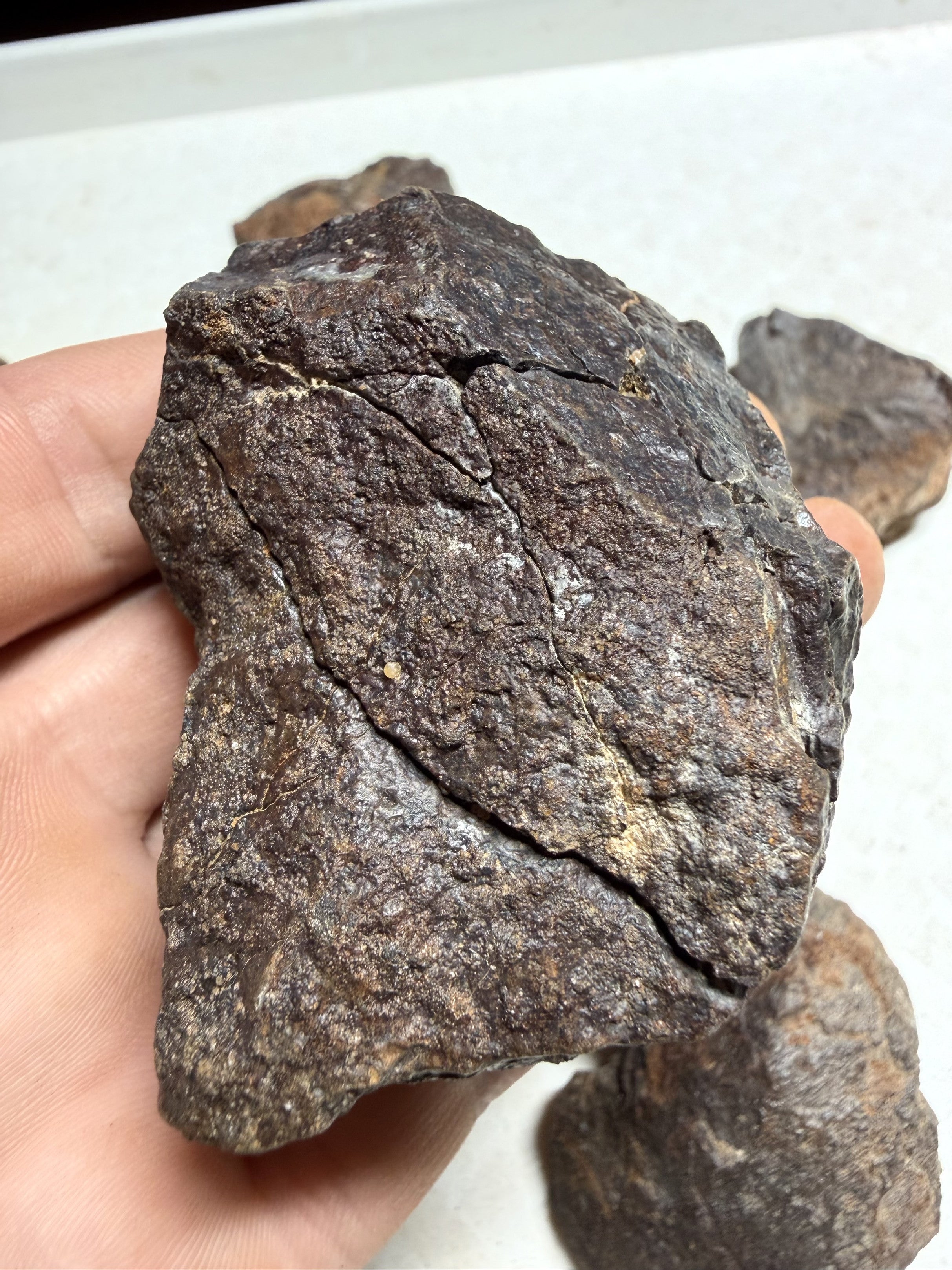 1kg of NWA X stony meteorites – Northwest Africa, 30–200g - VEL36