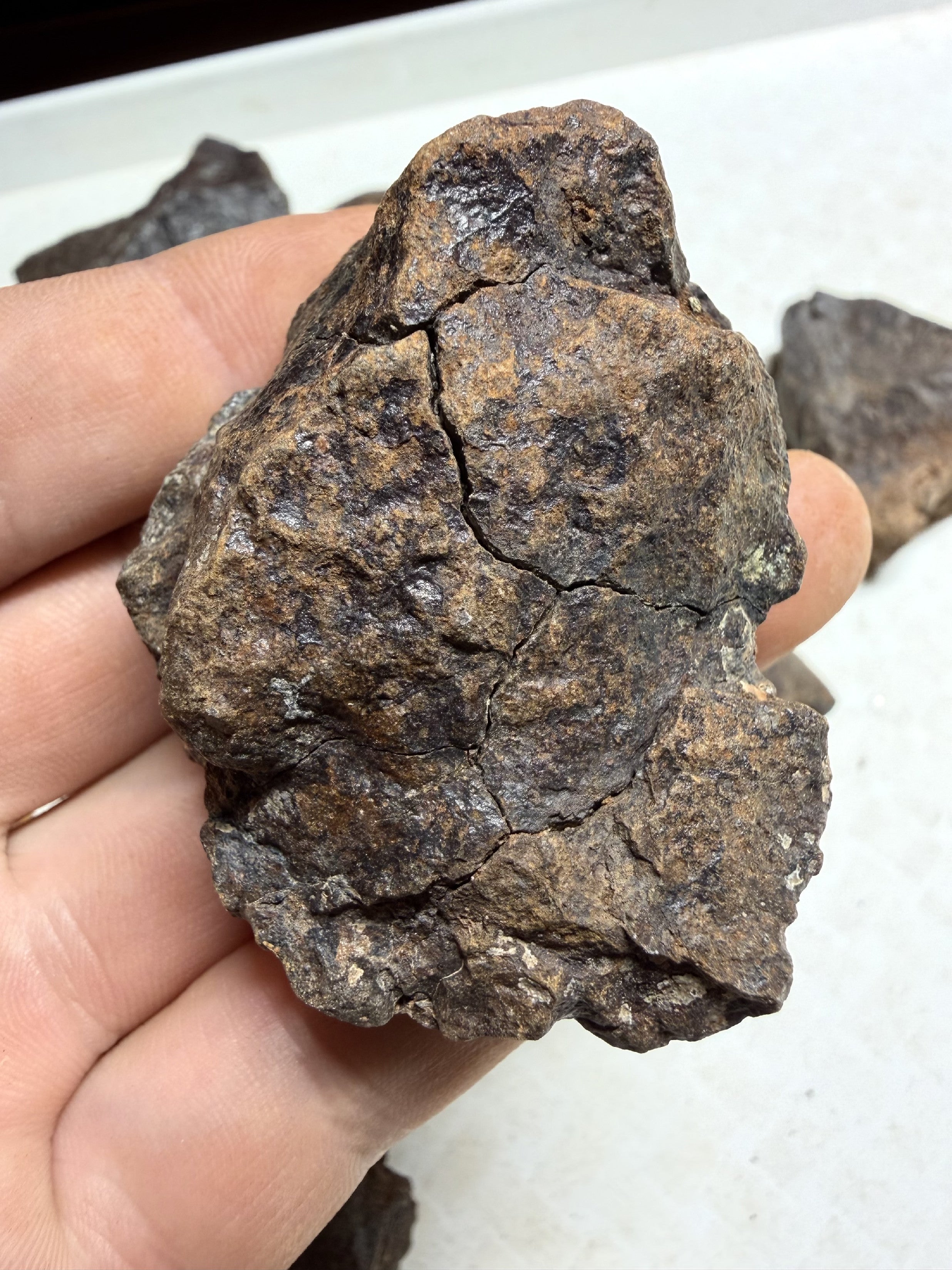 1kg of NWA X stony meteorites – Northwest Africa, 30–200g - VEL36